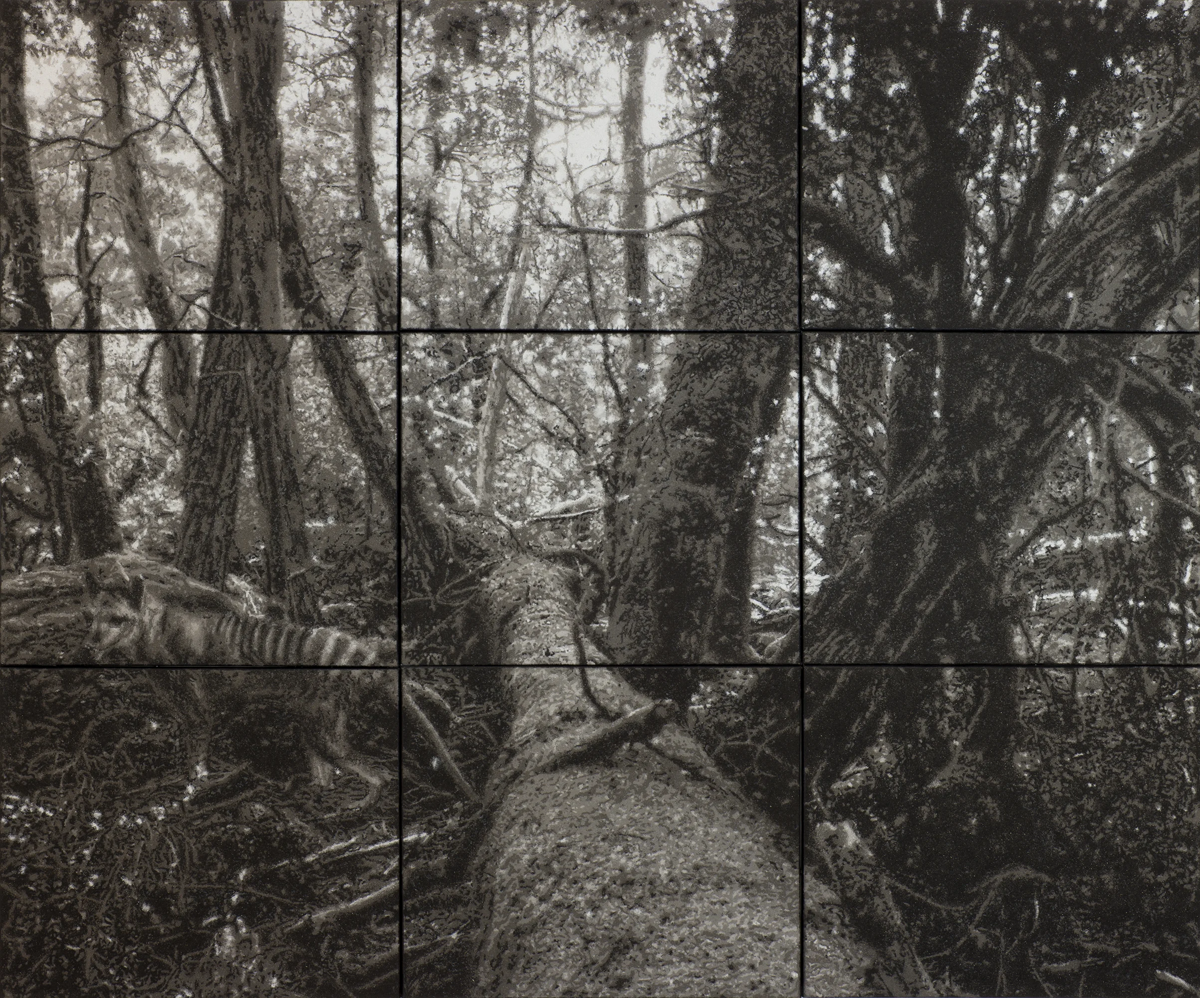 Yield "Study for Woven" - ash and polymer on nine canvas panels 2014