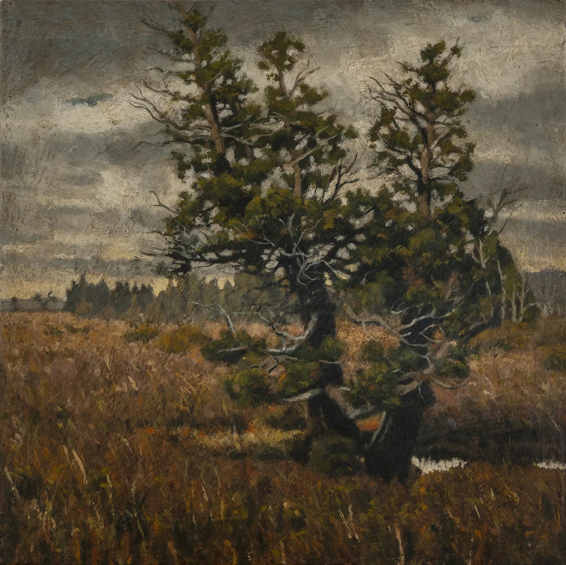 Changing of the Guard 1.jpg