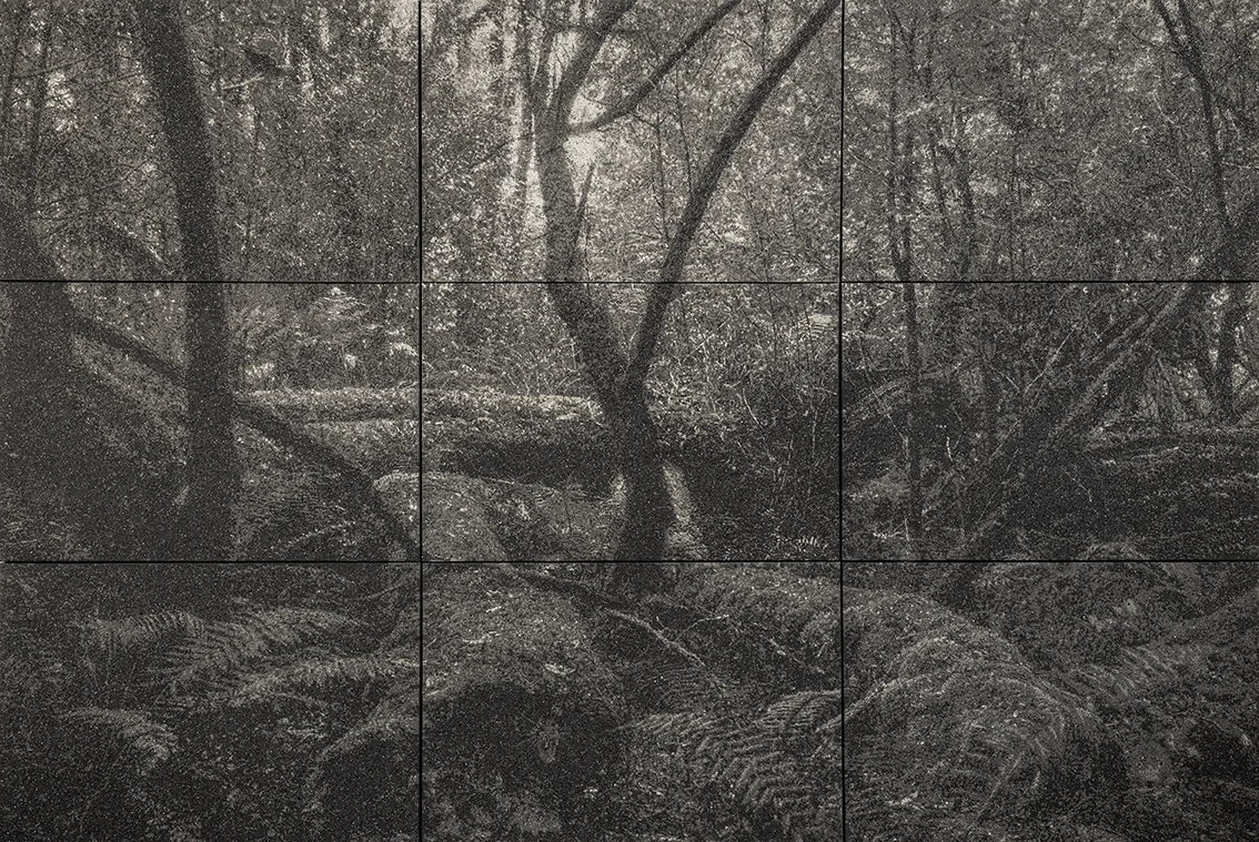 Forest Body.jpg