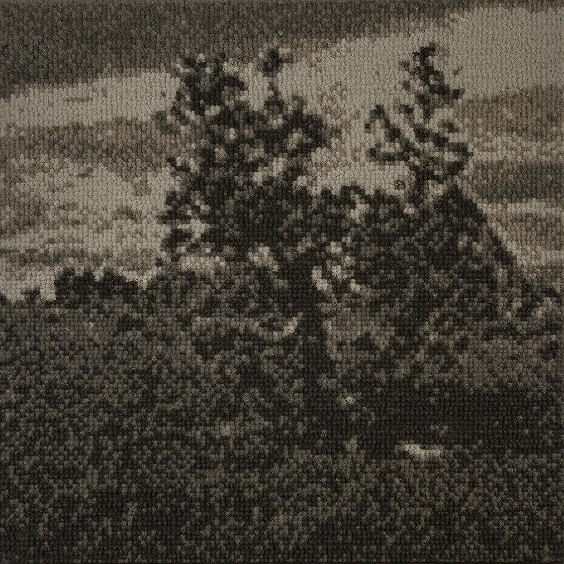 Changing of the guard 4.jpg