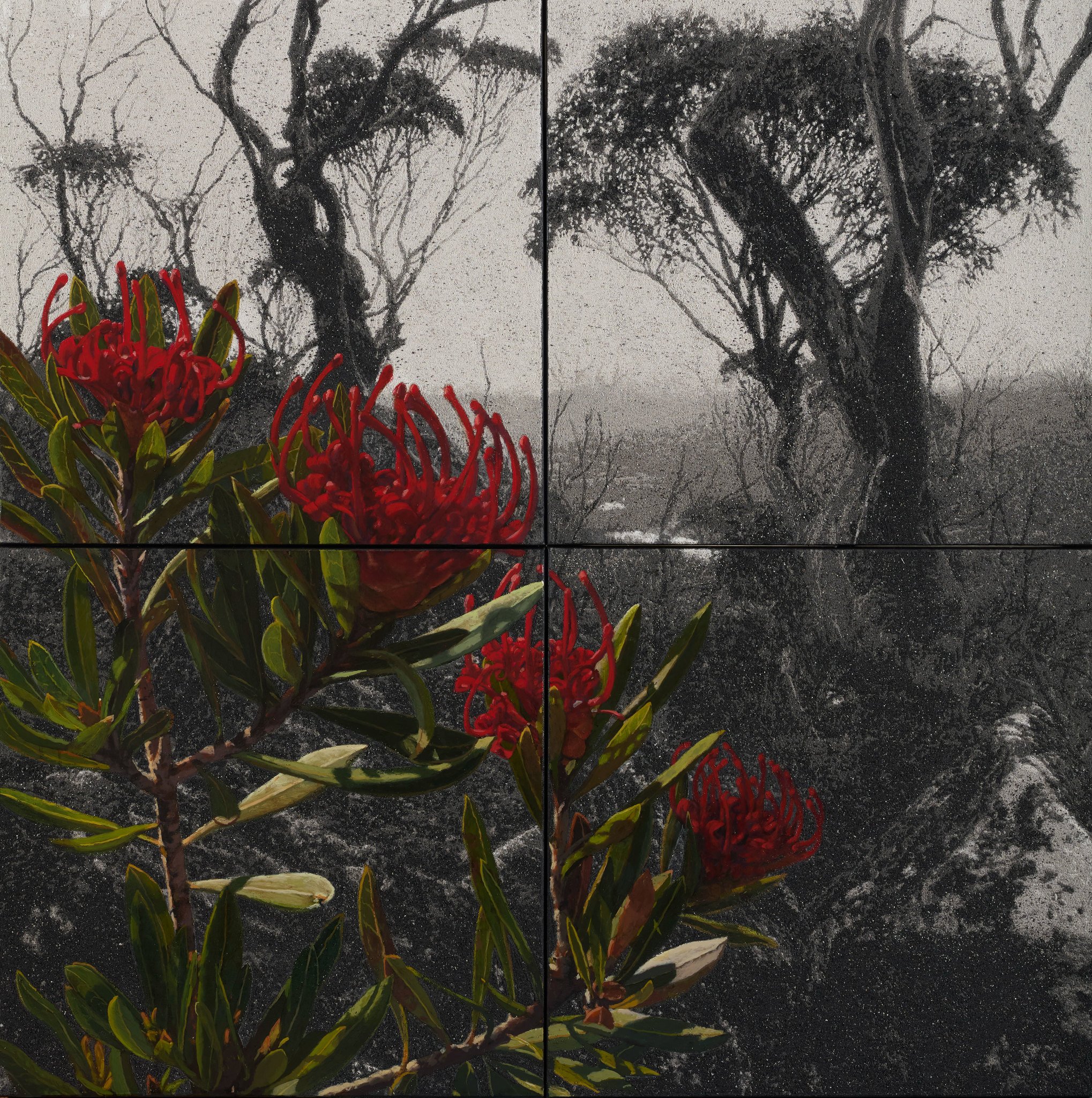 Fertile Ground II