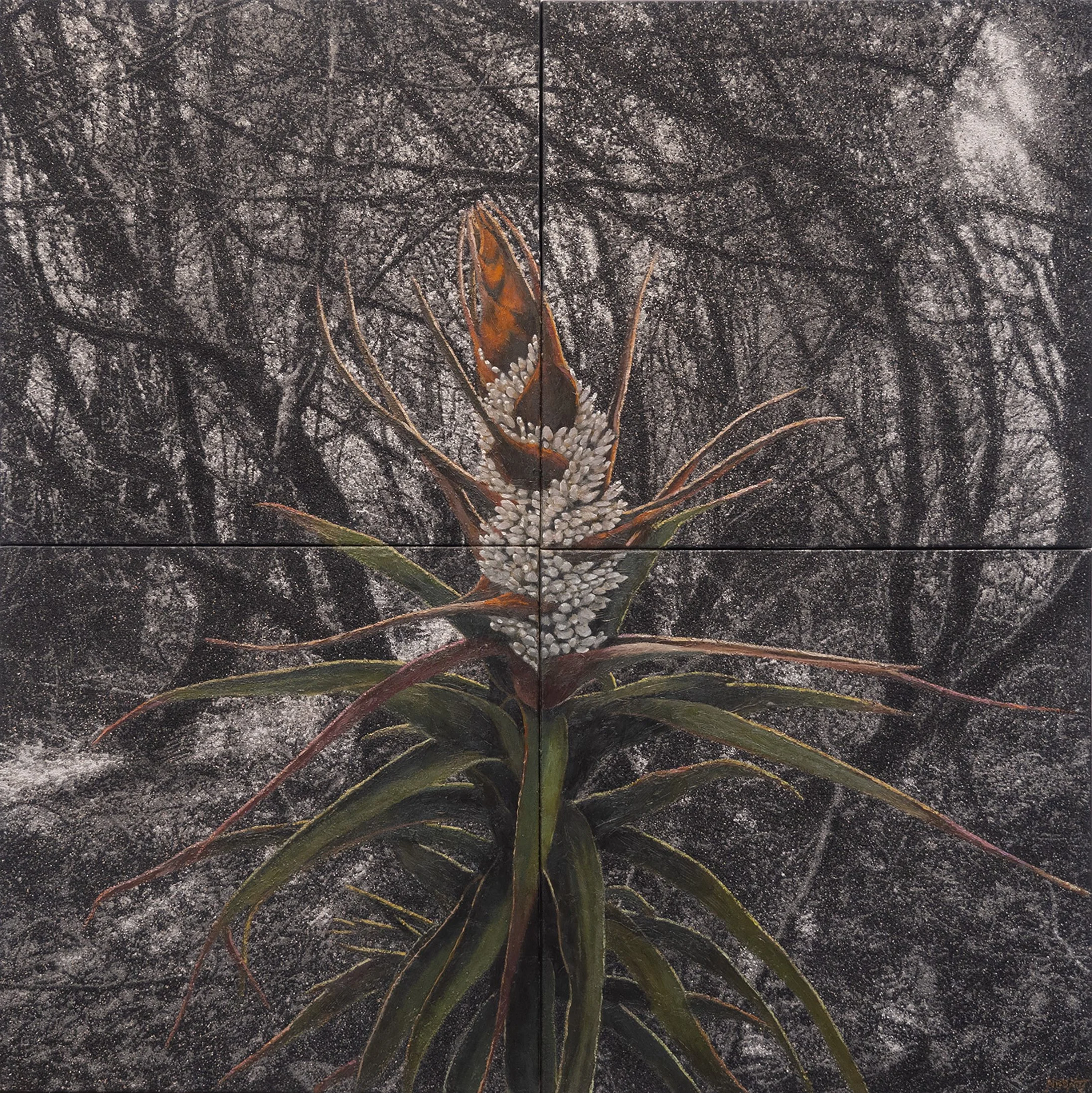 Fertile Ground