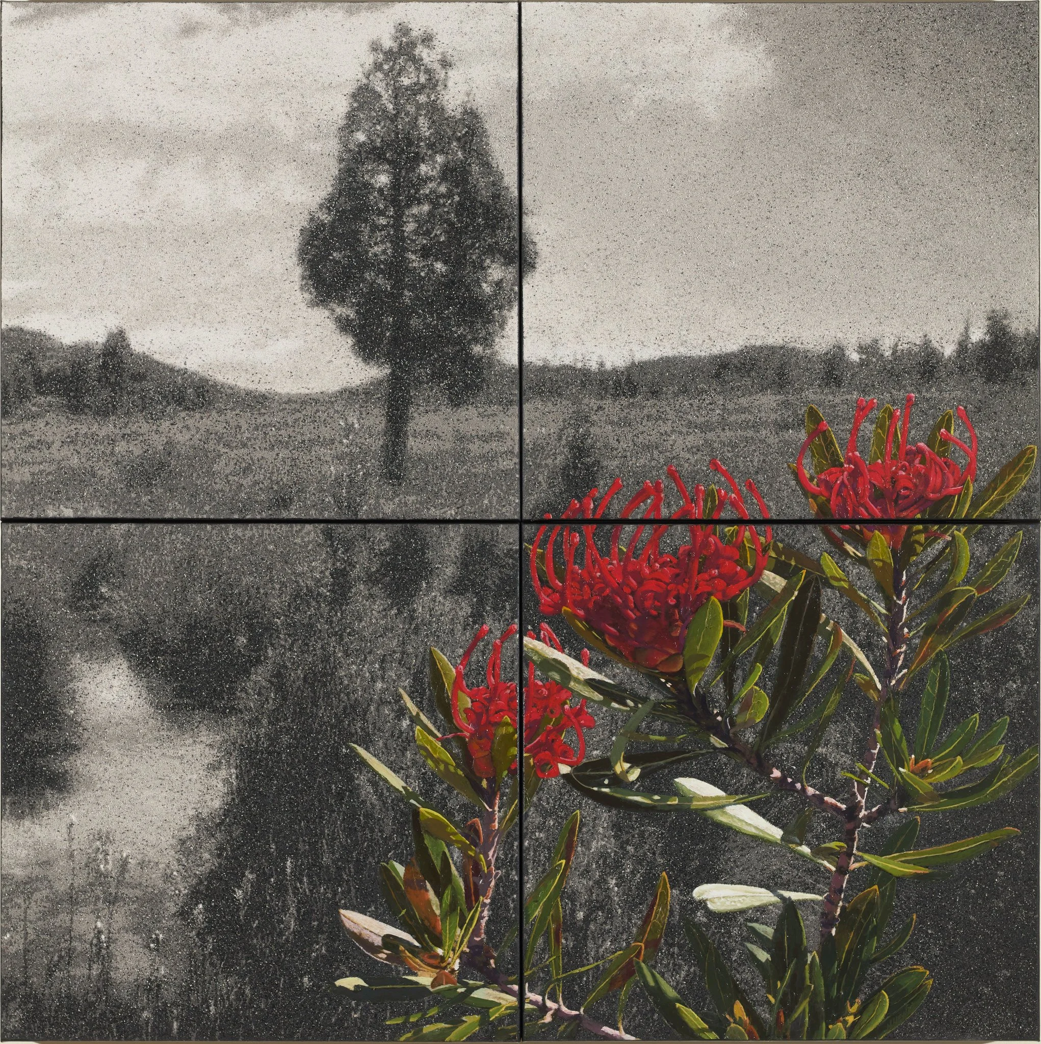 Fertile Ground IV