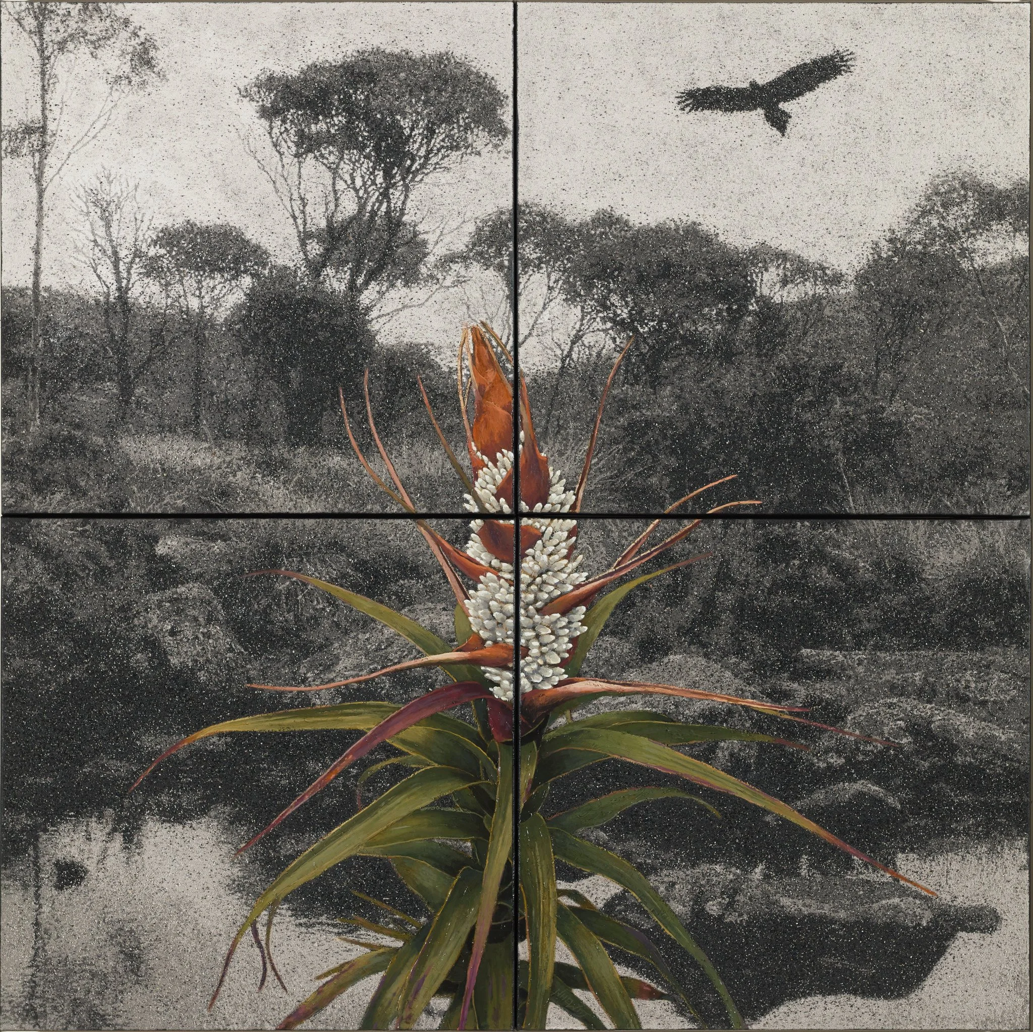 Fertile Ground VI