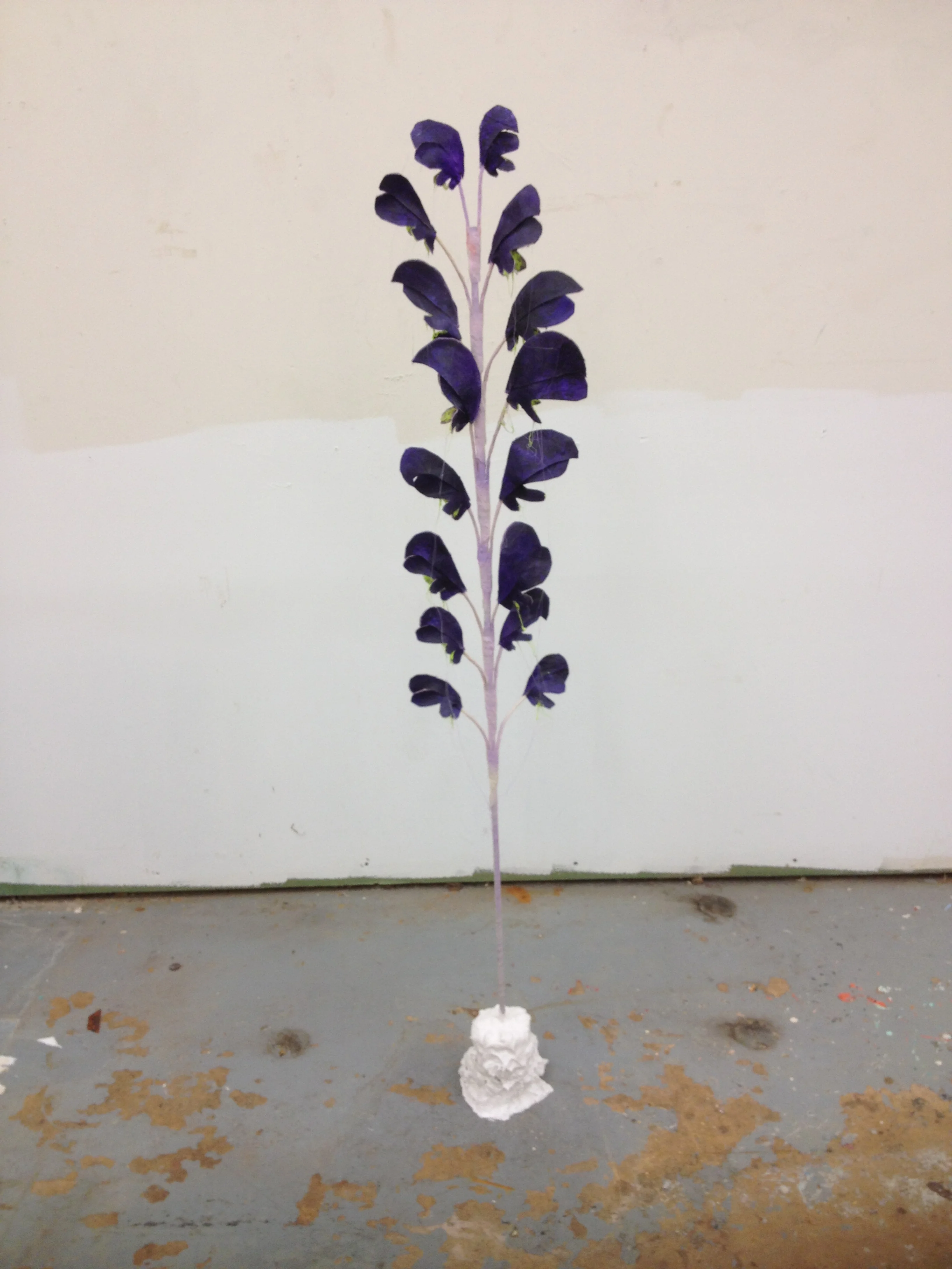 Monkshood