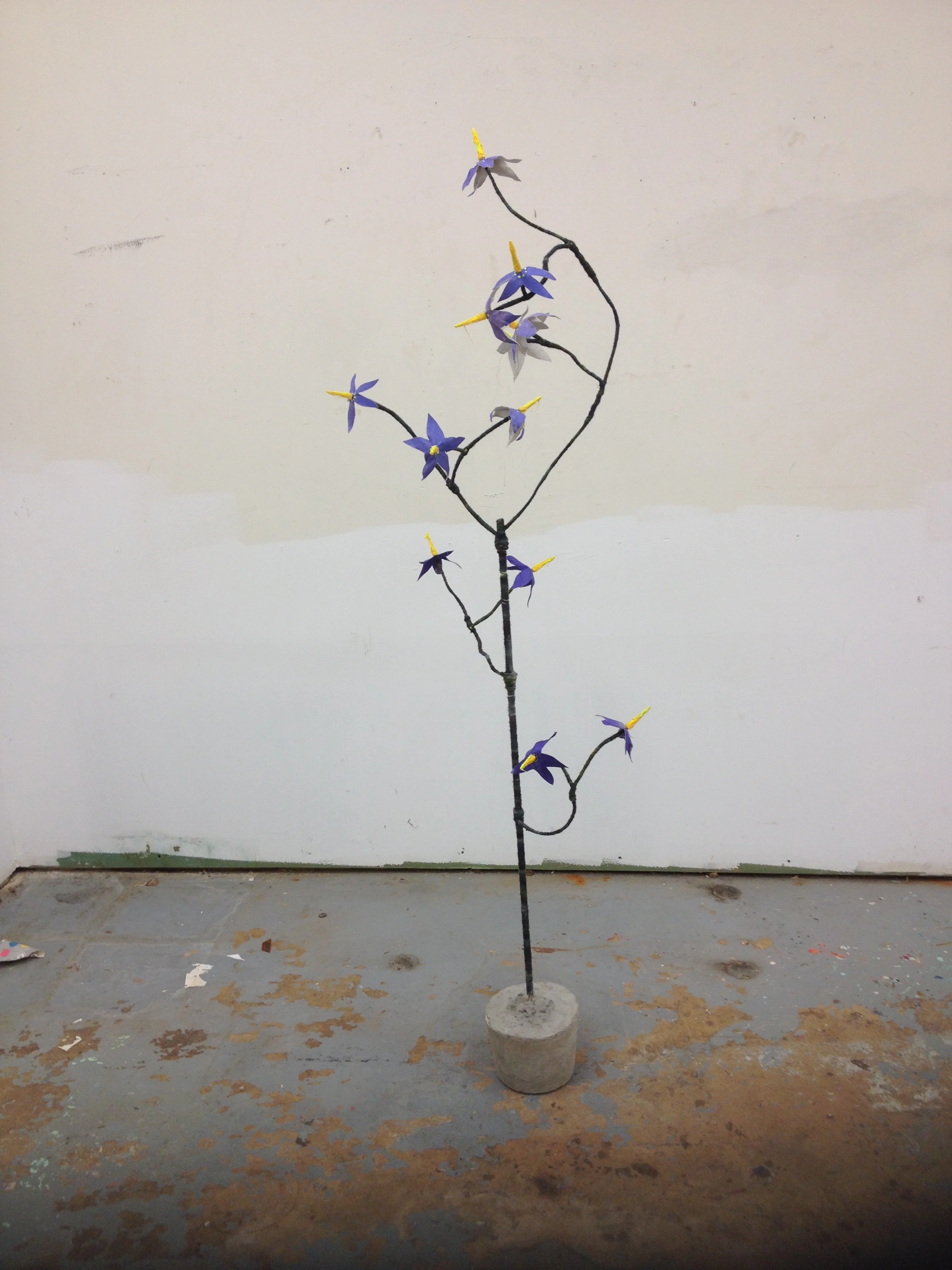 Deadly Nightshade