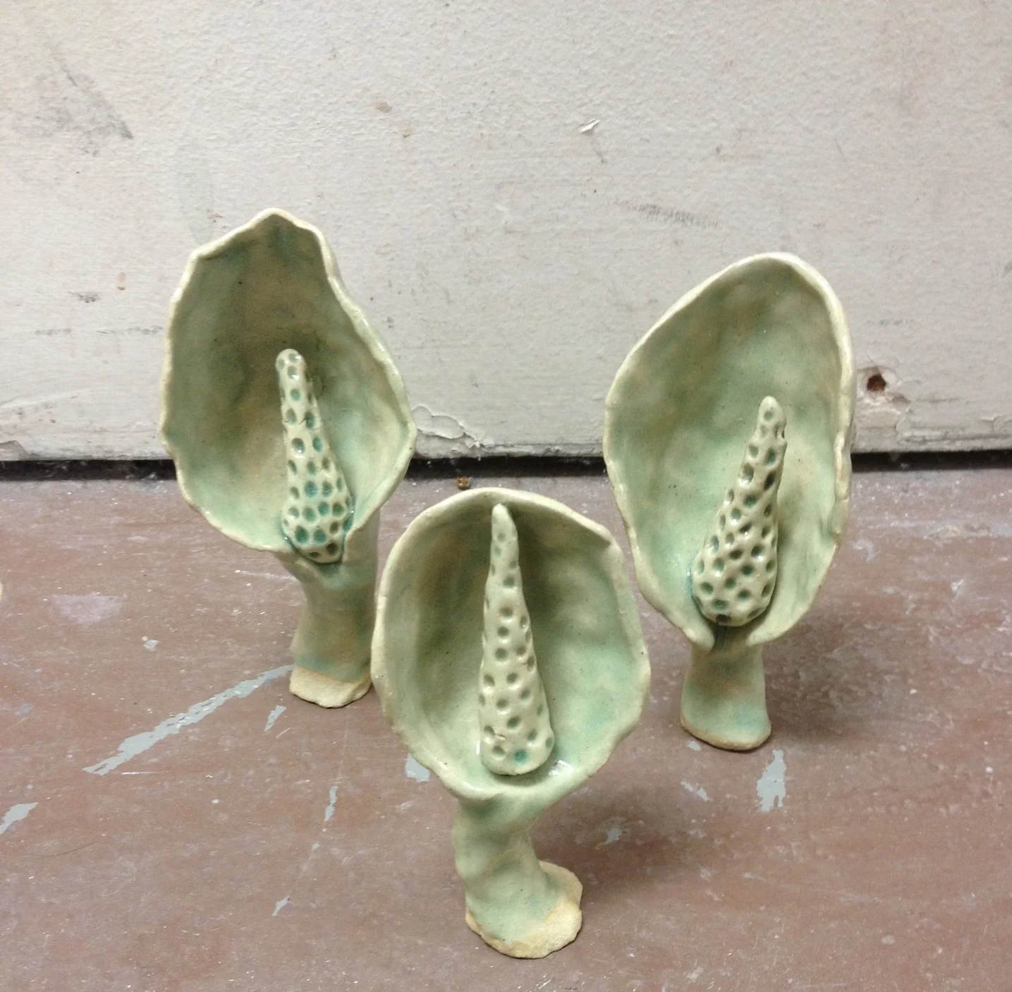 Pod Plants