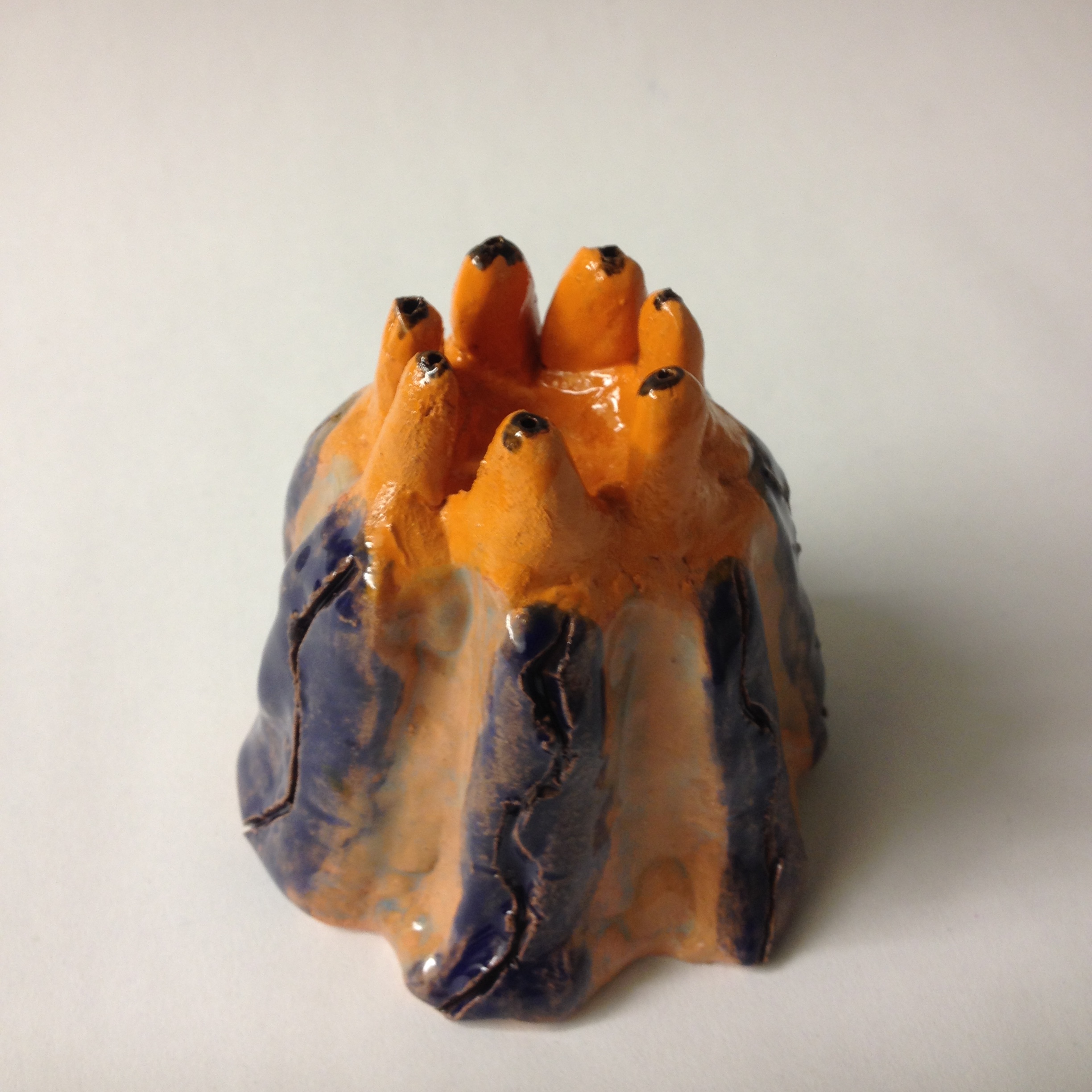 Ceramic coral. Grade 6