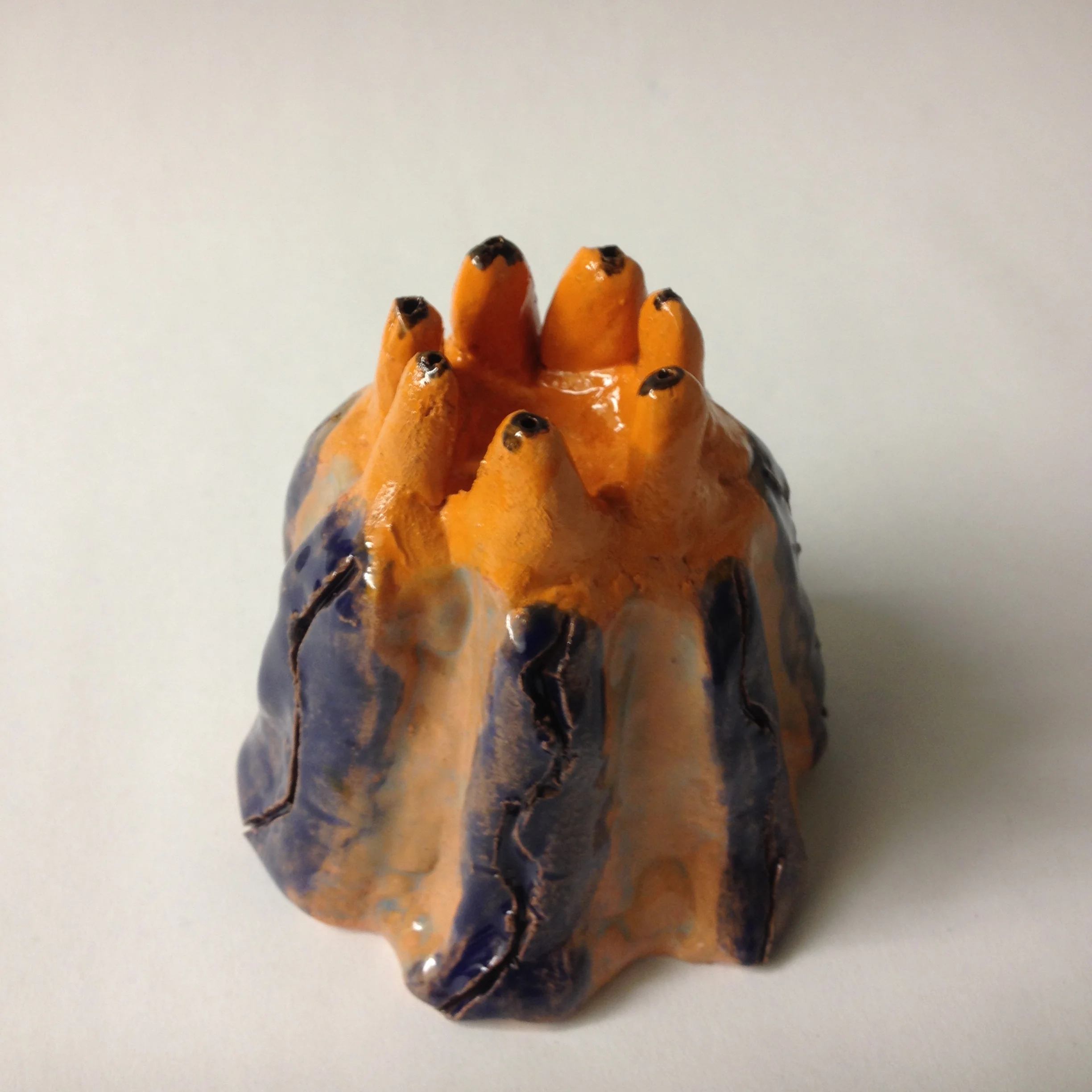 Ceramic coral. Grade 6