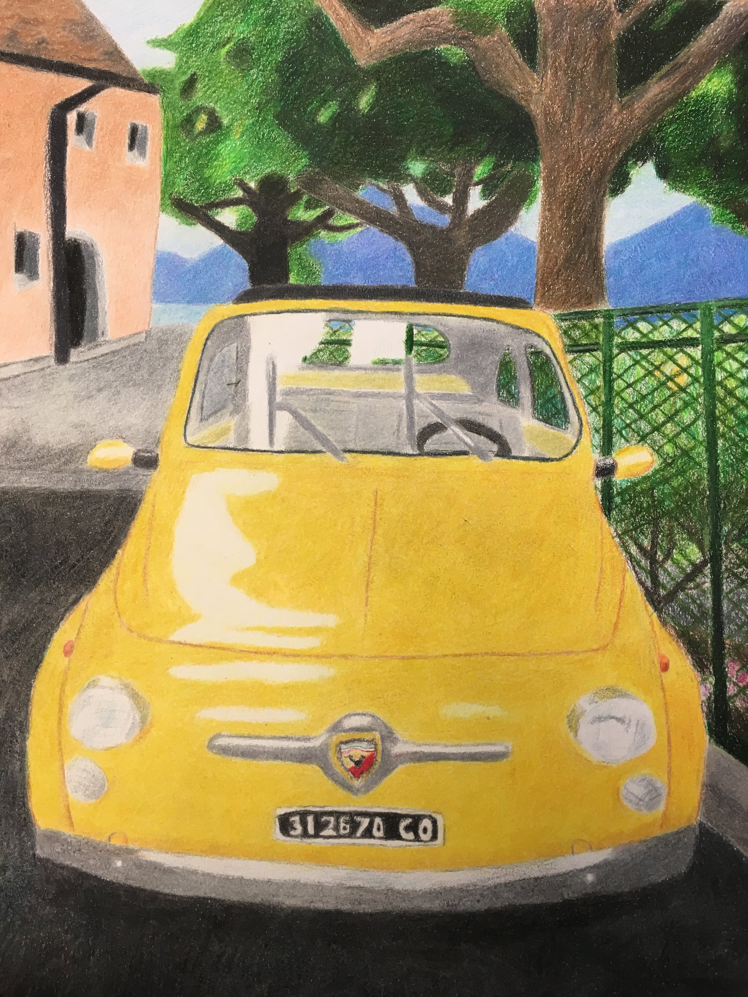 Colored Pencil Drawing 