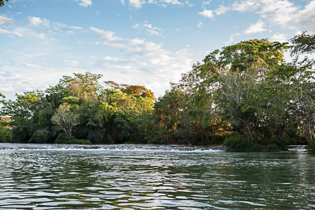The falls at Clarissa Falls, Mopan River.