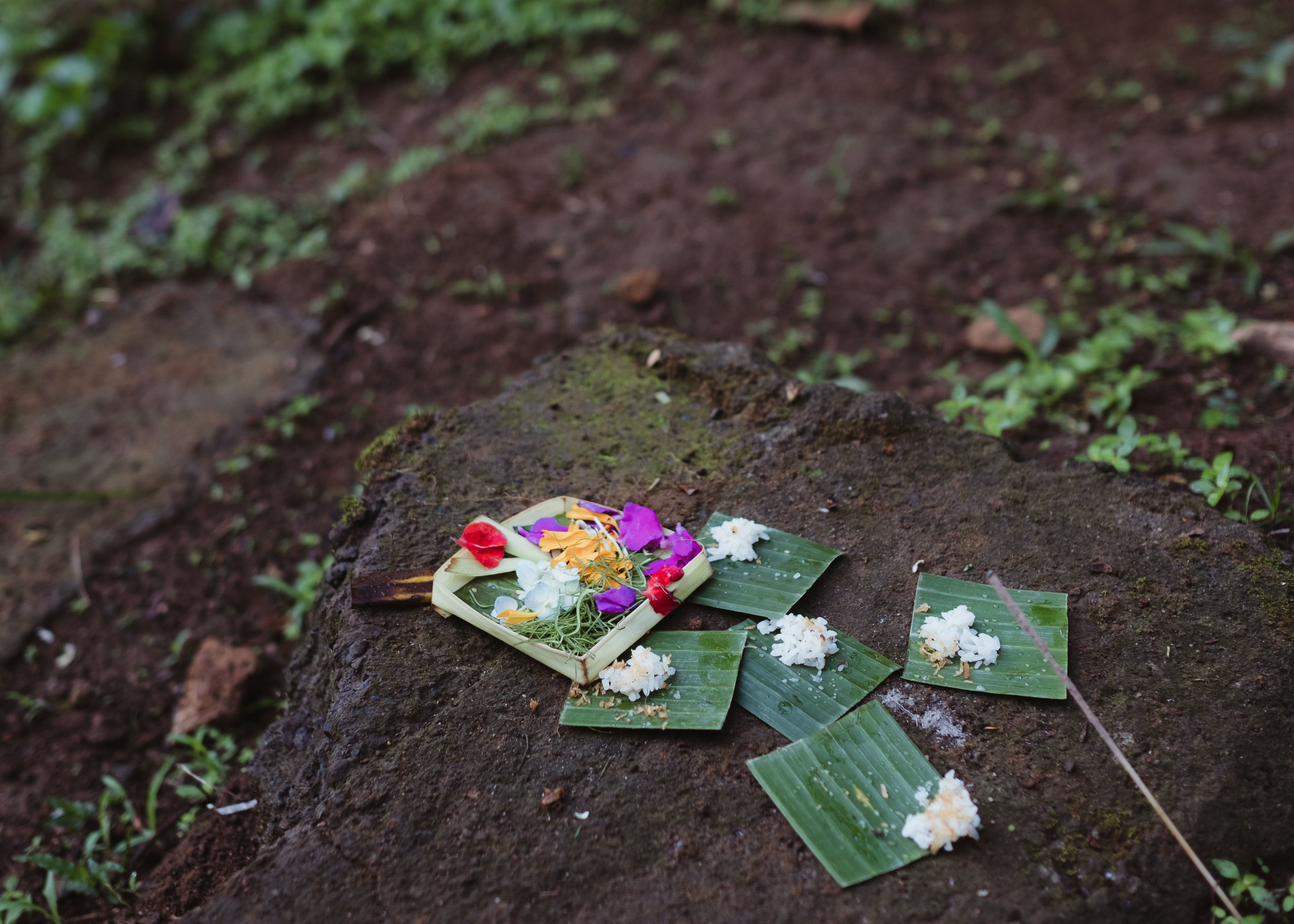 offerings are flower petals and rice, sometimes eggs, goldfish crackers, and money