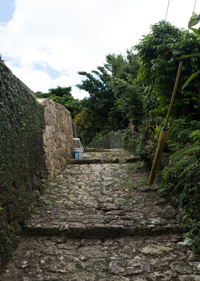 500-year old limestone path