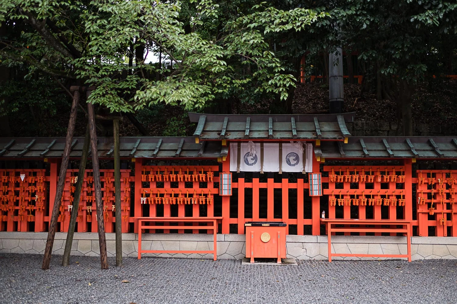 DSCF2249.jpg