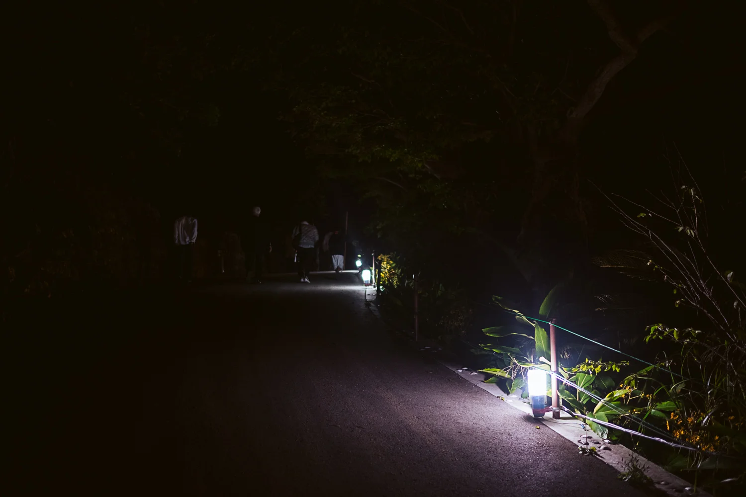 the walk up