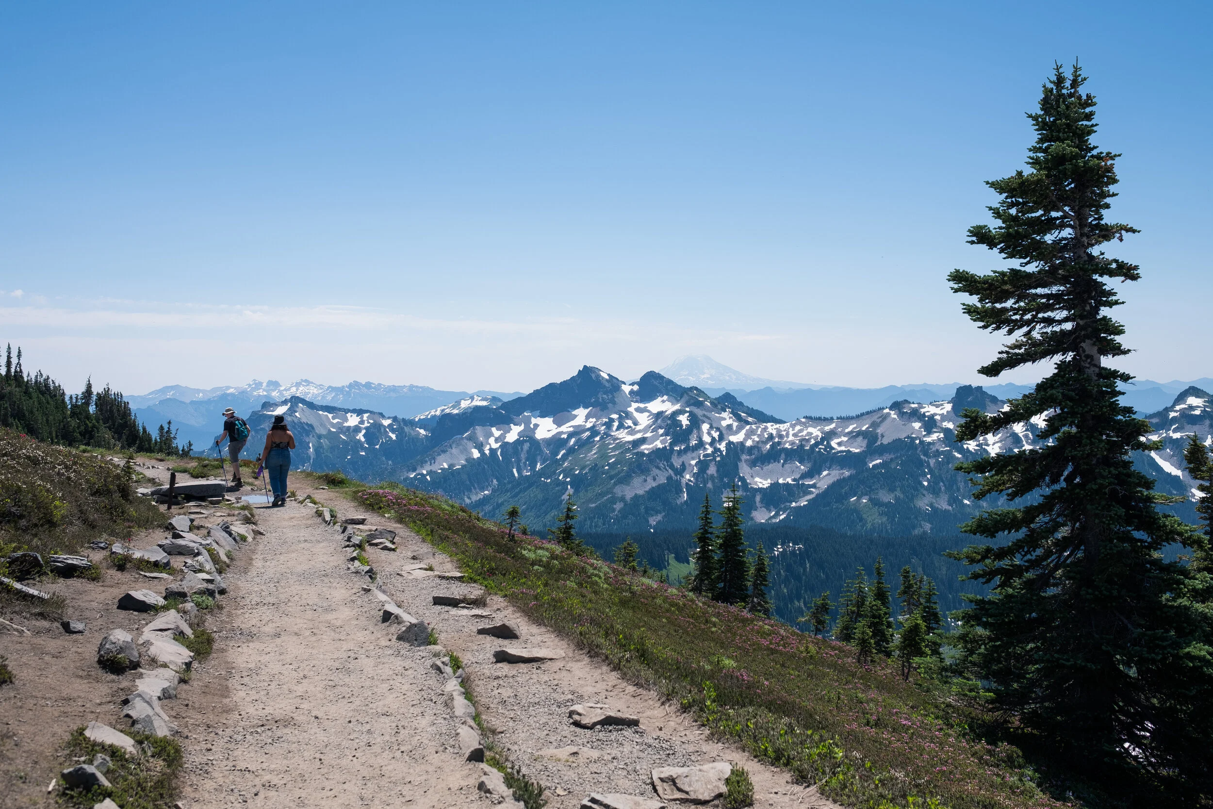 Mt. Tahoma (Rainier), WA state  - July 2021