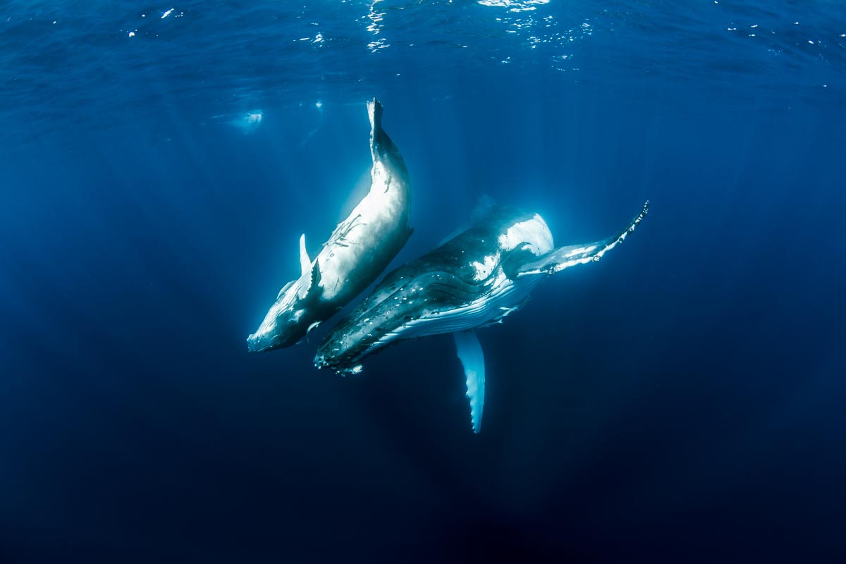 Photo by Ming Nomchong