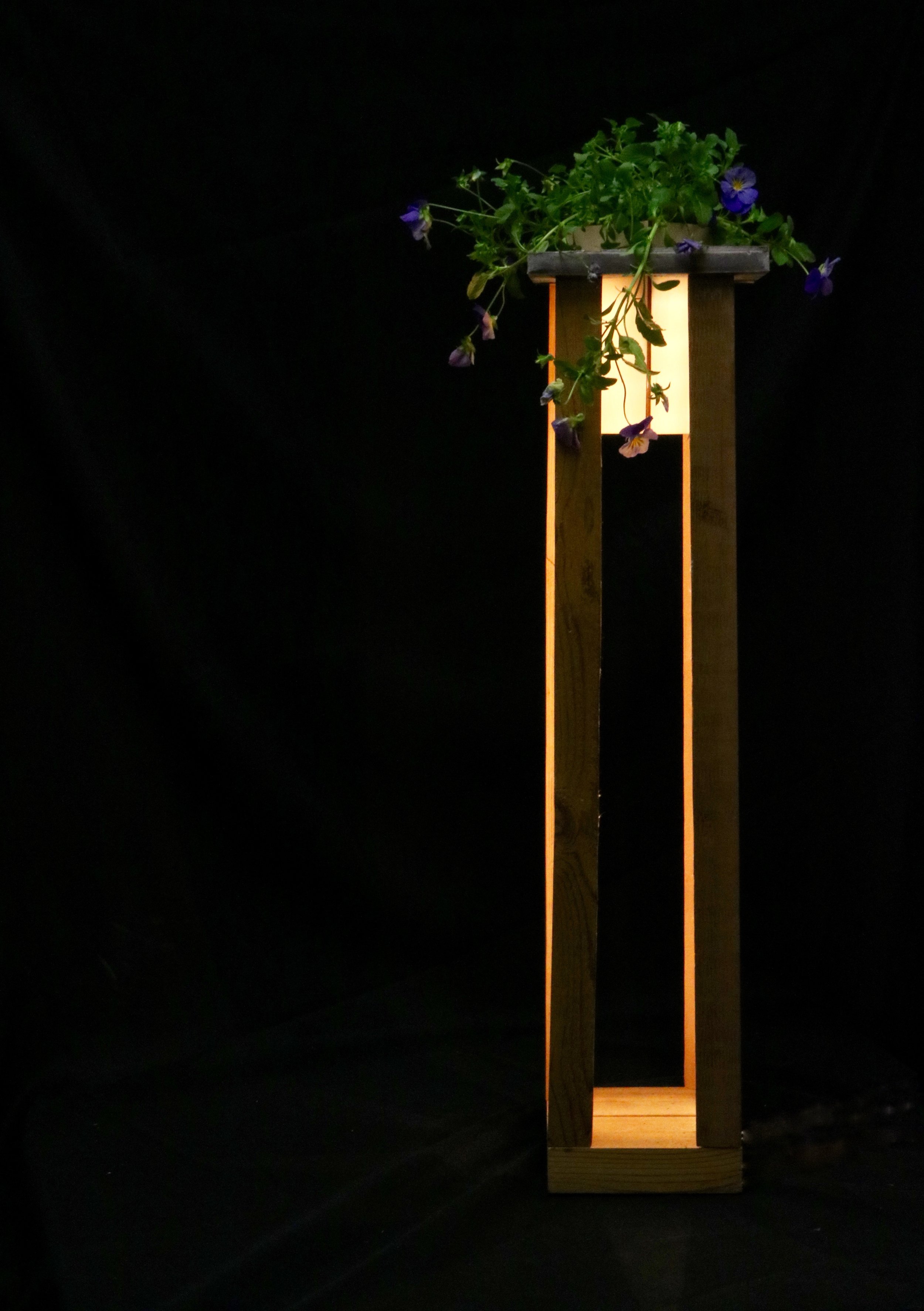 The materials selected for this light fixture are rough sawn Texas cedar and cast in place concrete. These two are both highly effective for the outdoors and sit together sumptuously. The wood stands tall and firm as the compressive structure, lifting the plant into the sky while the concrete serves as the tensile structure connecting the two and creating a role reversal. Additionally, all materials were locally sourced.