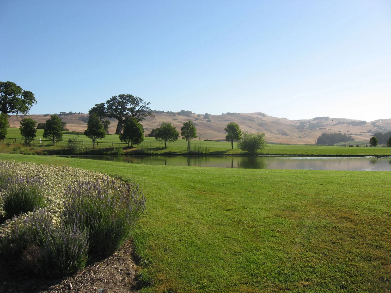Eagle Vines Golf Course | Napa, California