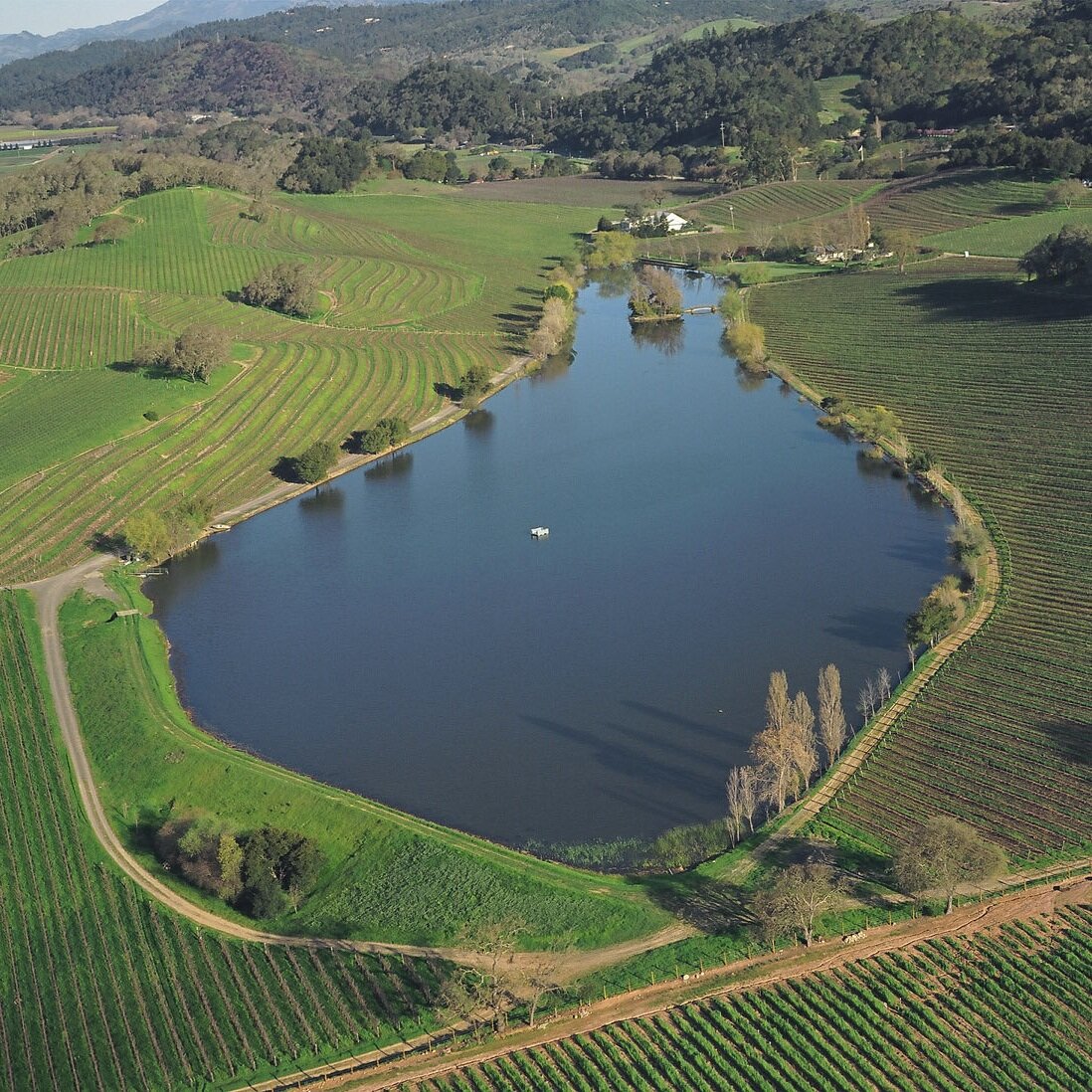 Vineyard + Winery + Water