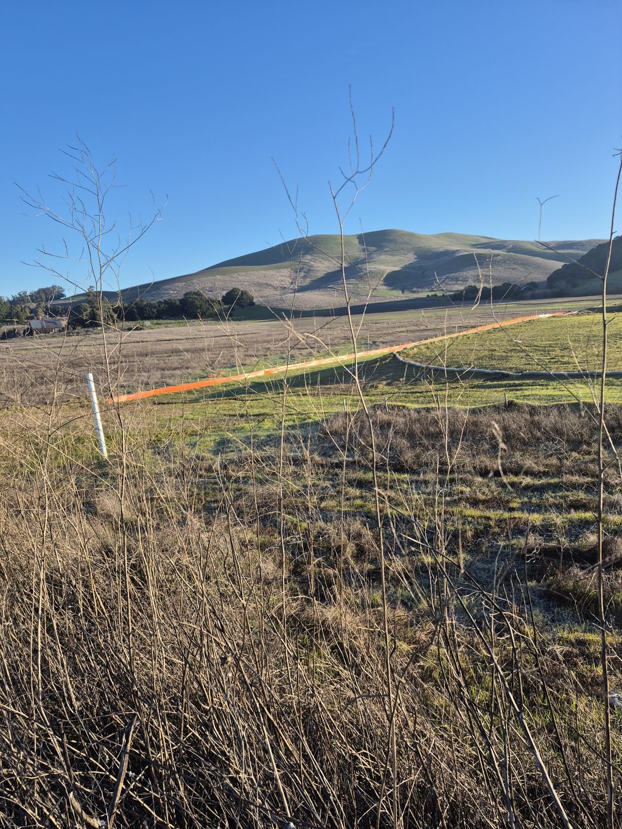 Napa Valley Surveyor