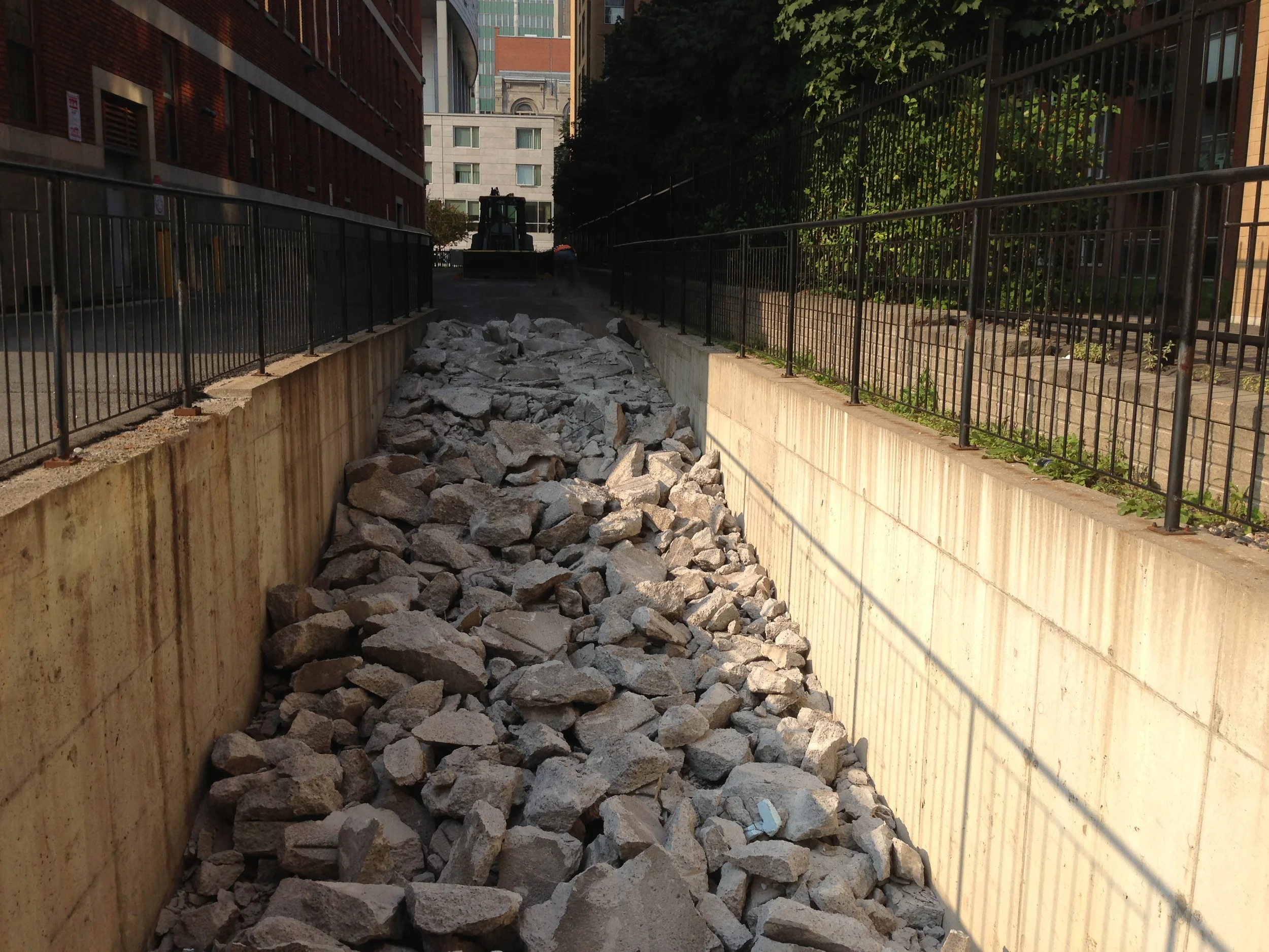 2013-08-19 08.46.26.jpg