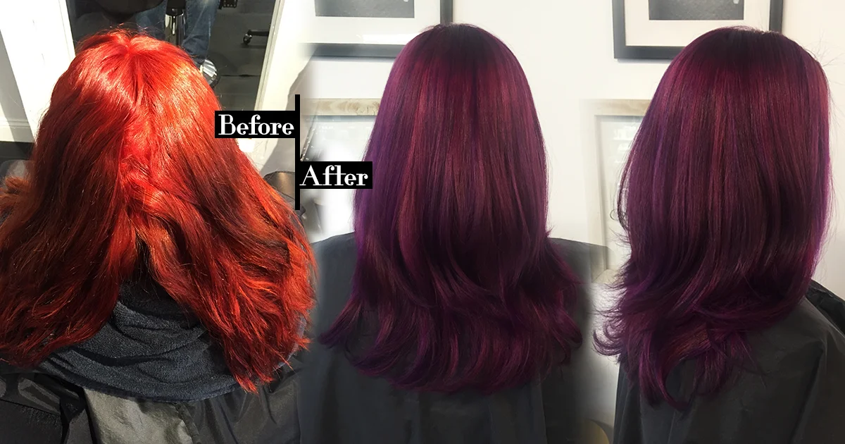 haley color.jpg