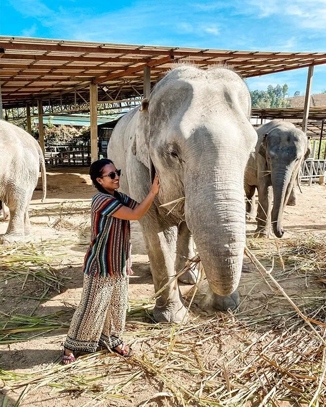 Trunk in love 🐘💕 &bull;
&bull;
&bull;

Disclaimer: Elephant Jungle Sanctuary is an ethical and sustainable eco-tourism initiative where visitors like myself are able to feed, bathe, and play with elephants in their natural habitat (no cages, no rid