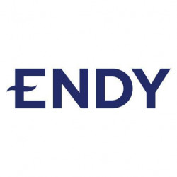 Endy-Sleep-250x250.jpg