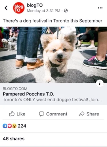 blogto.jpg