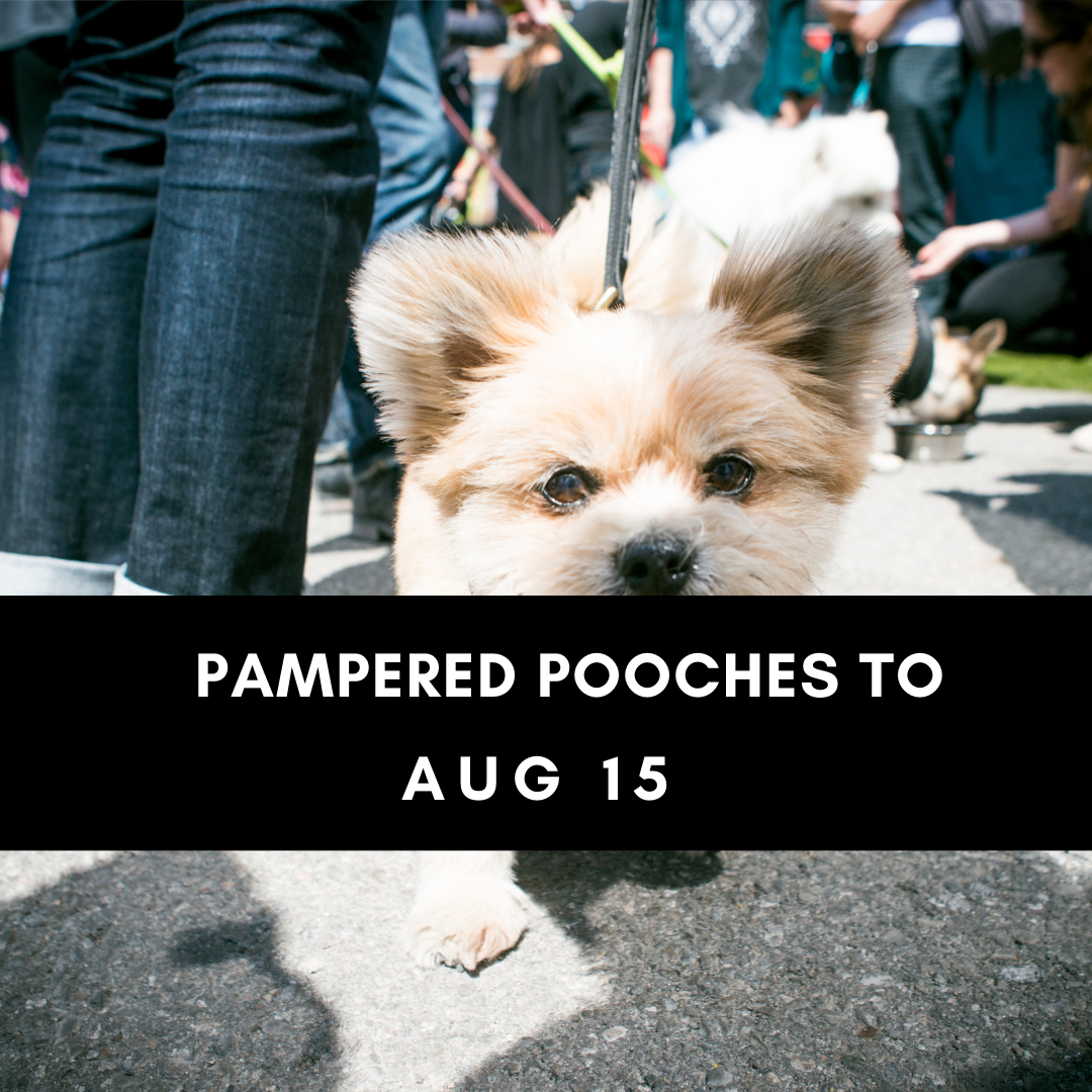 Pampered Pooches.png