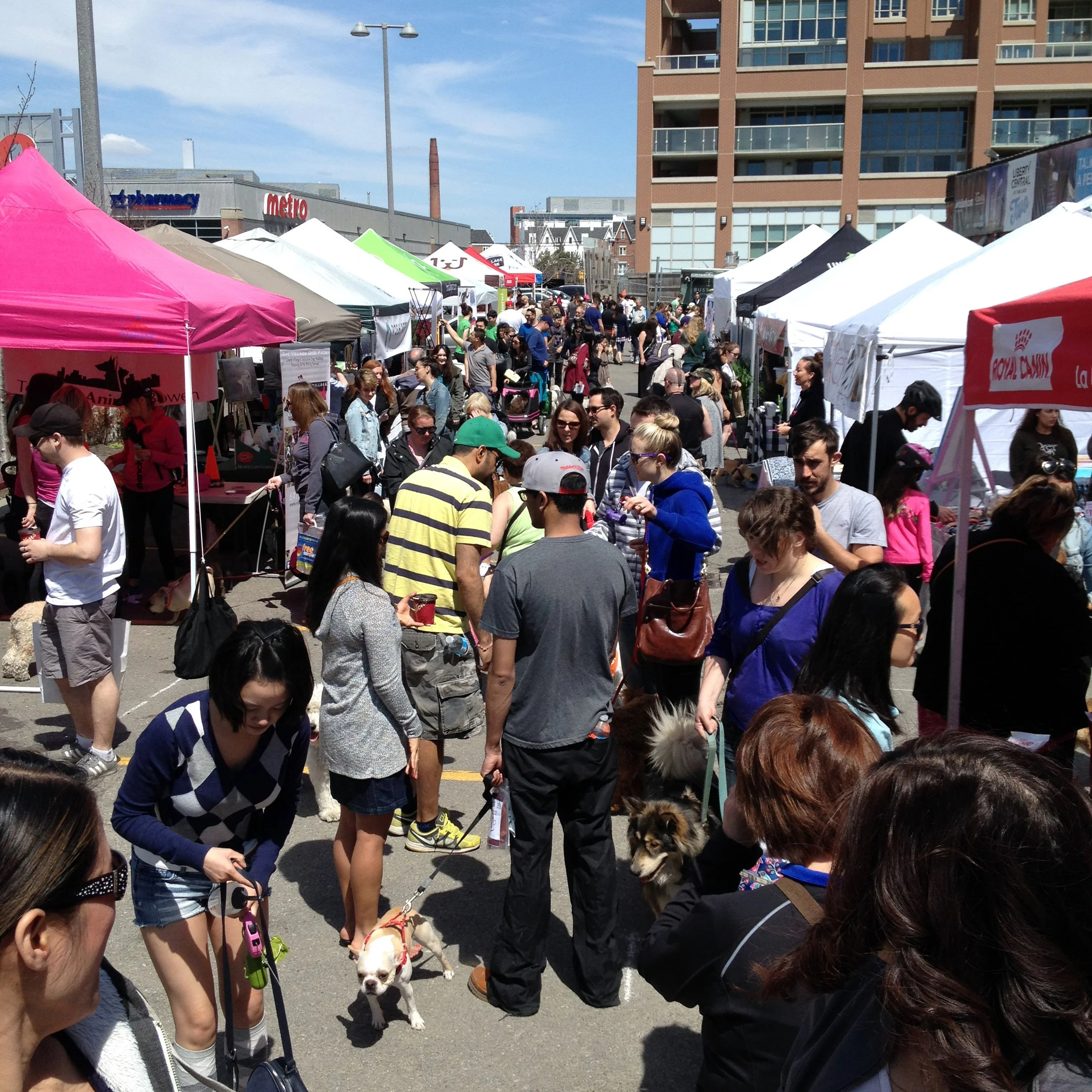 nadia at Pampered Pooches 3.jpg