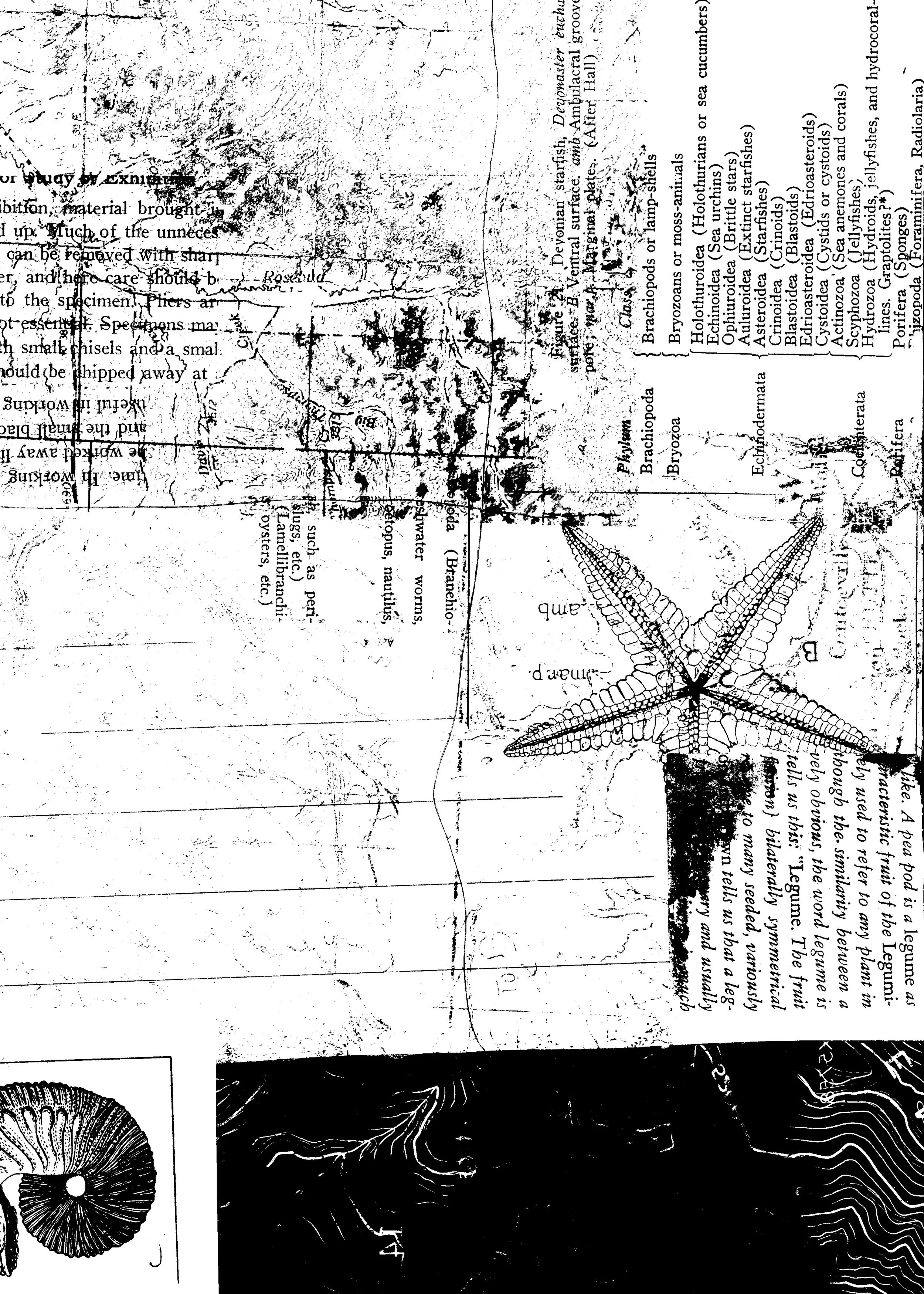 watermap006A.jpg