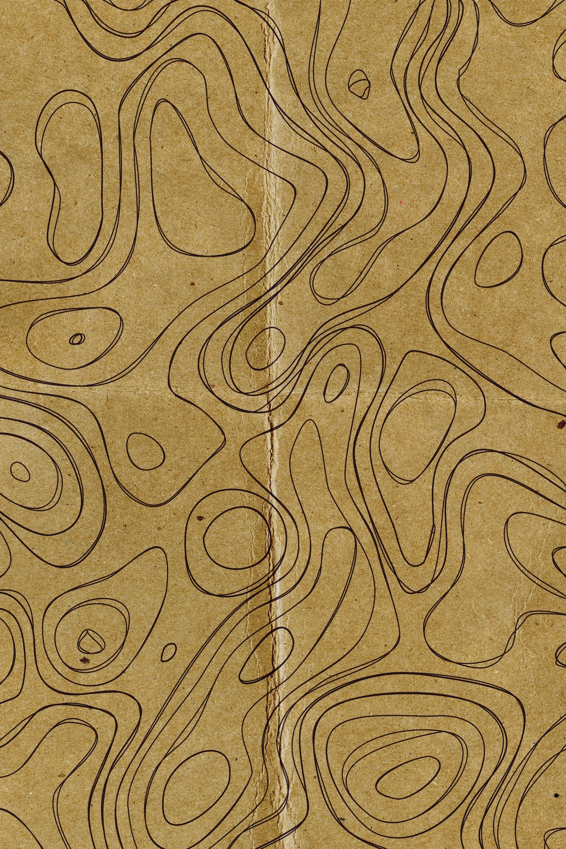 Brown Cover Image.jpeg