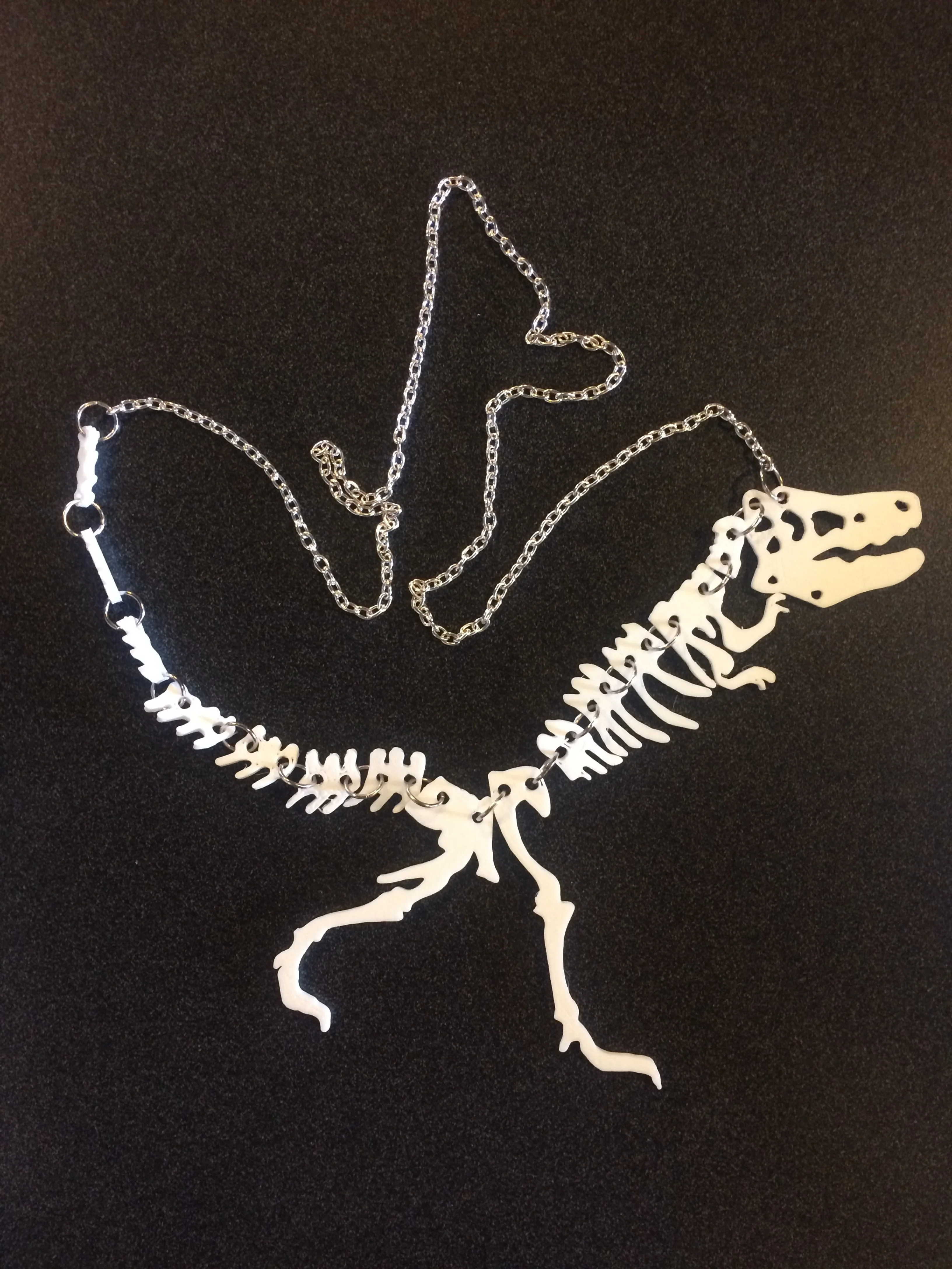 Earl, the library volunteer heading it's 3D printing push, made us these amazing necklackes