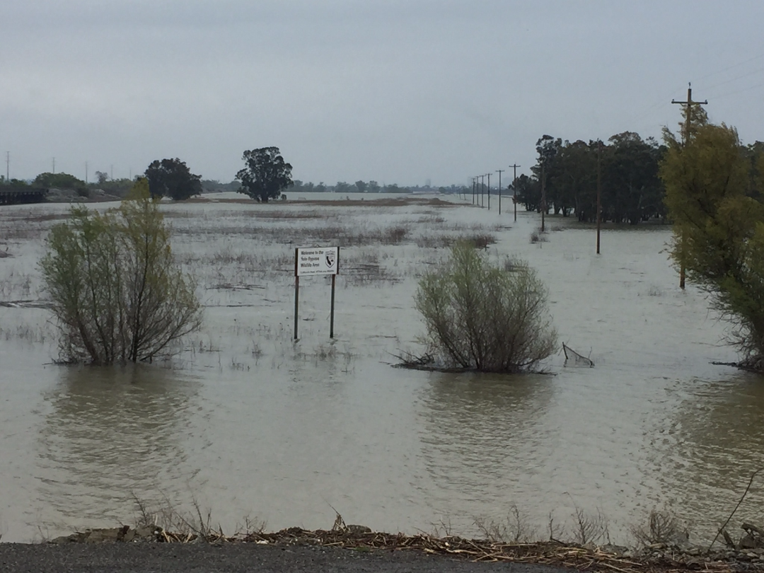 Flooded Yolo Bypass