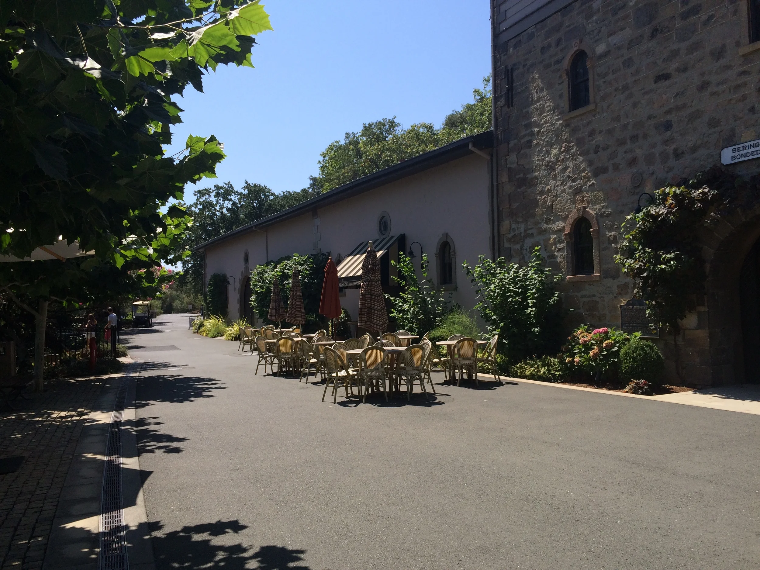 Beringer Vineyard.JPG