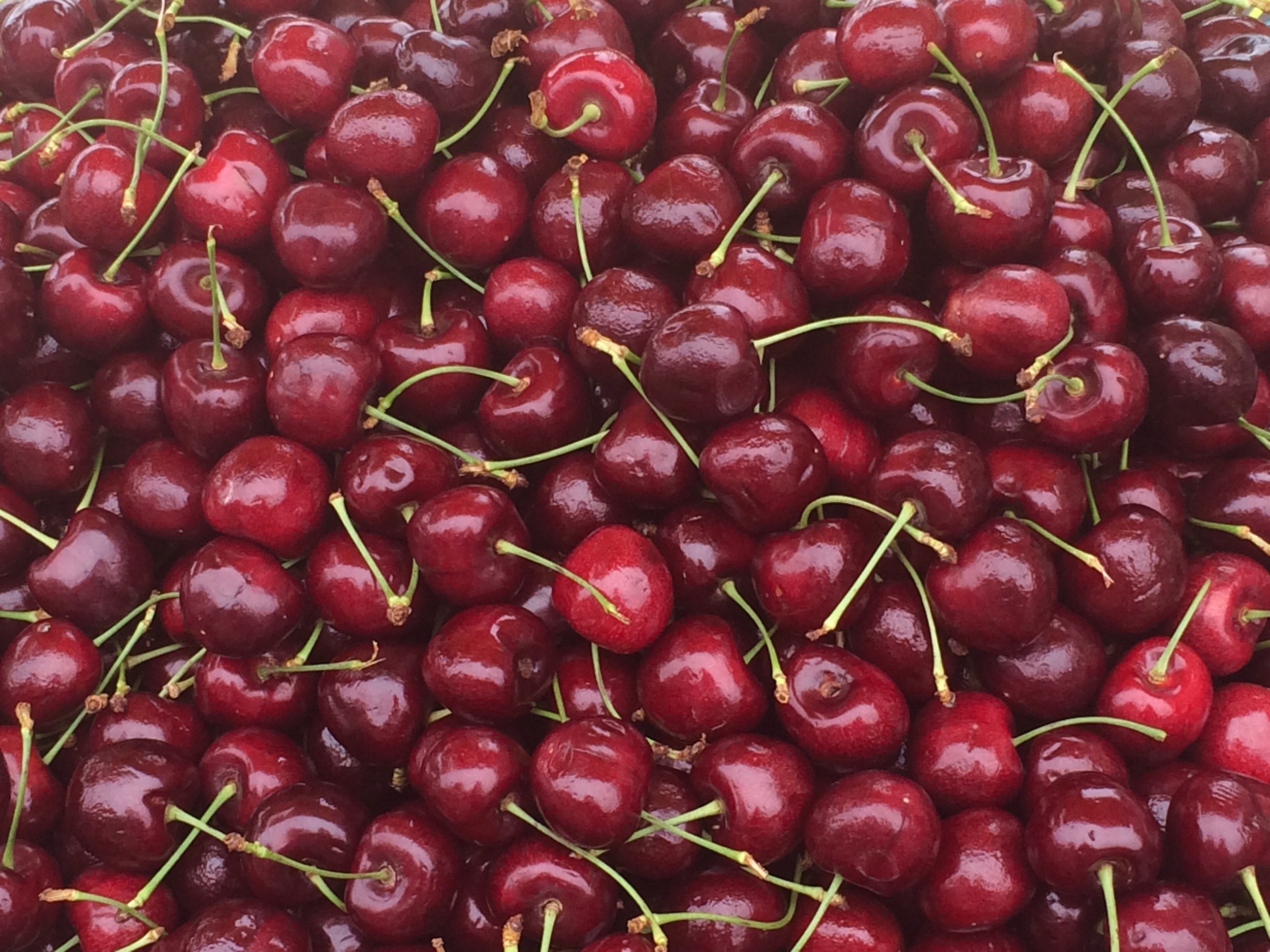 Cherries at the Farmers Market on Pier 39 in San Francisco.jpg