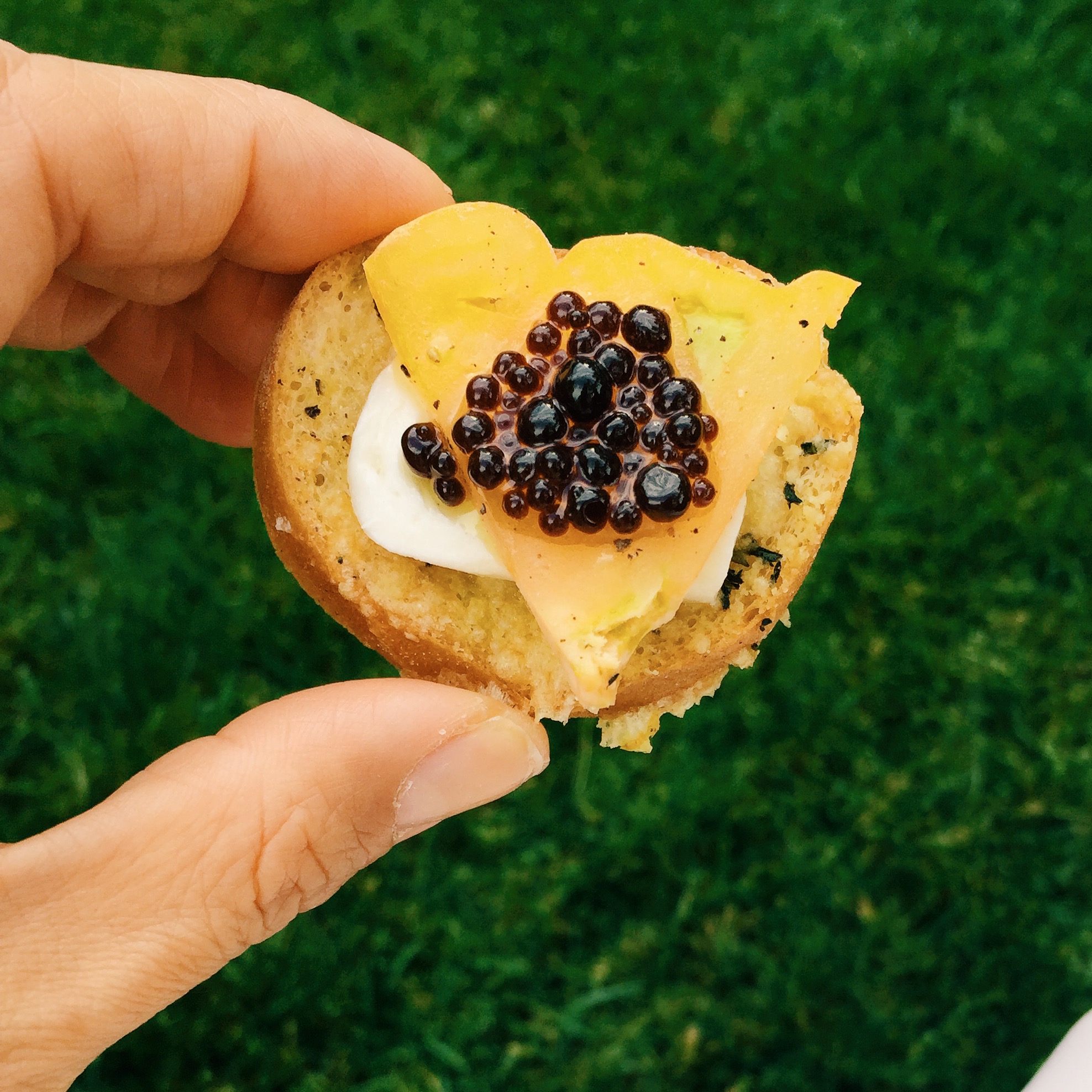 Bruschetta with fresh mozzarella, heirloom tomatoes and caviar