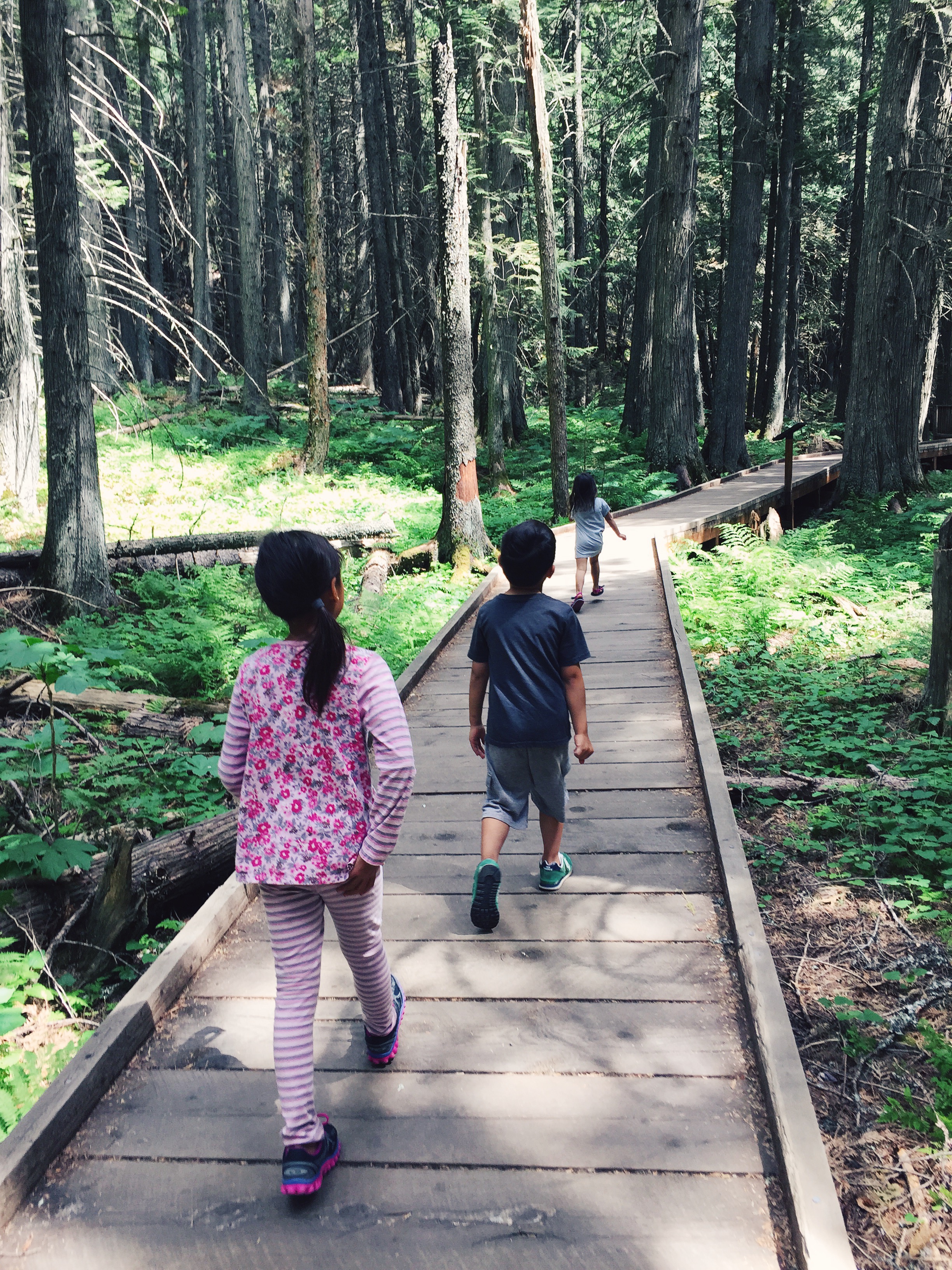 A short hike before it rained on us.