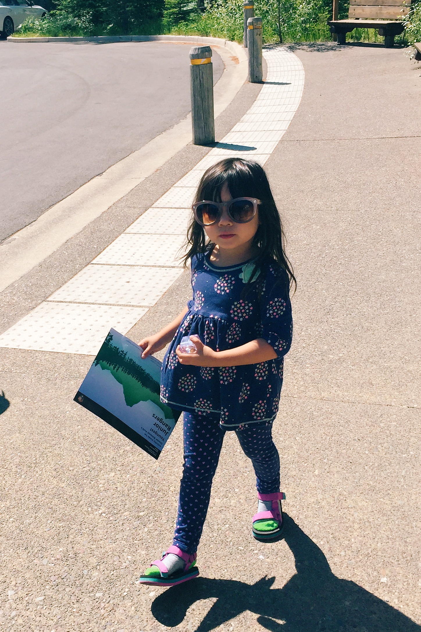 She got her Junior Ranger workbook and it's all business.