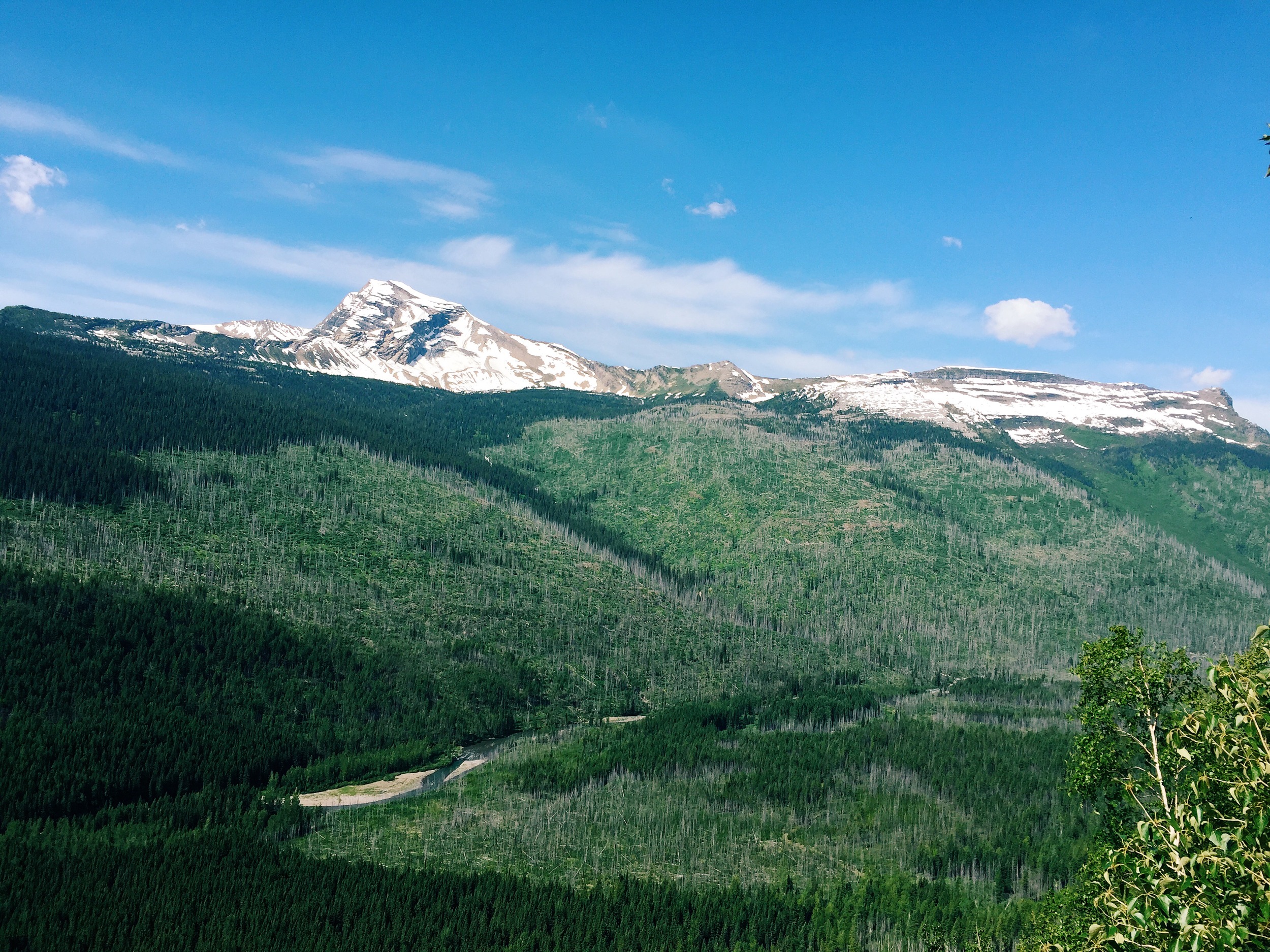 Was able to capture amazing scenery during our drive around the park.