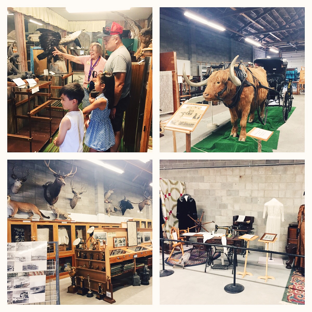 We took the time to learn some history in Polson, south of Big Fork. This was at the Polson-Flathead Historical Museum . 