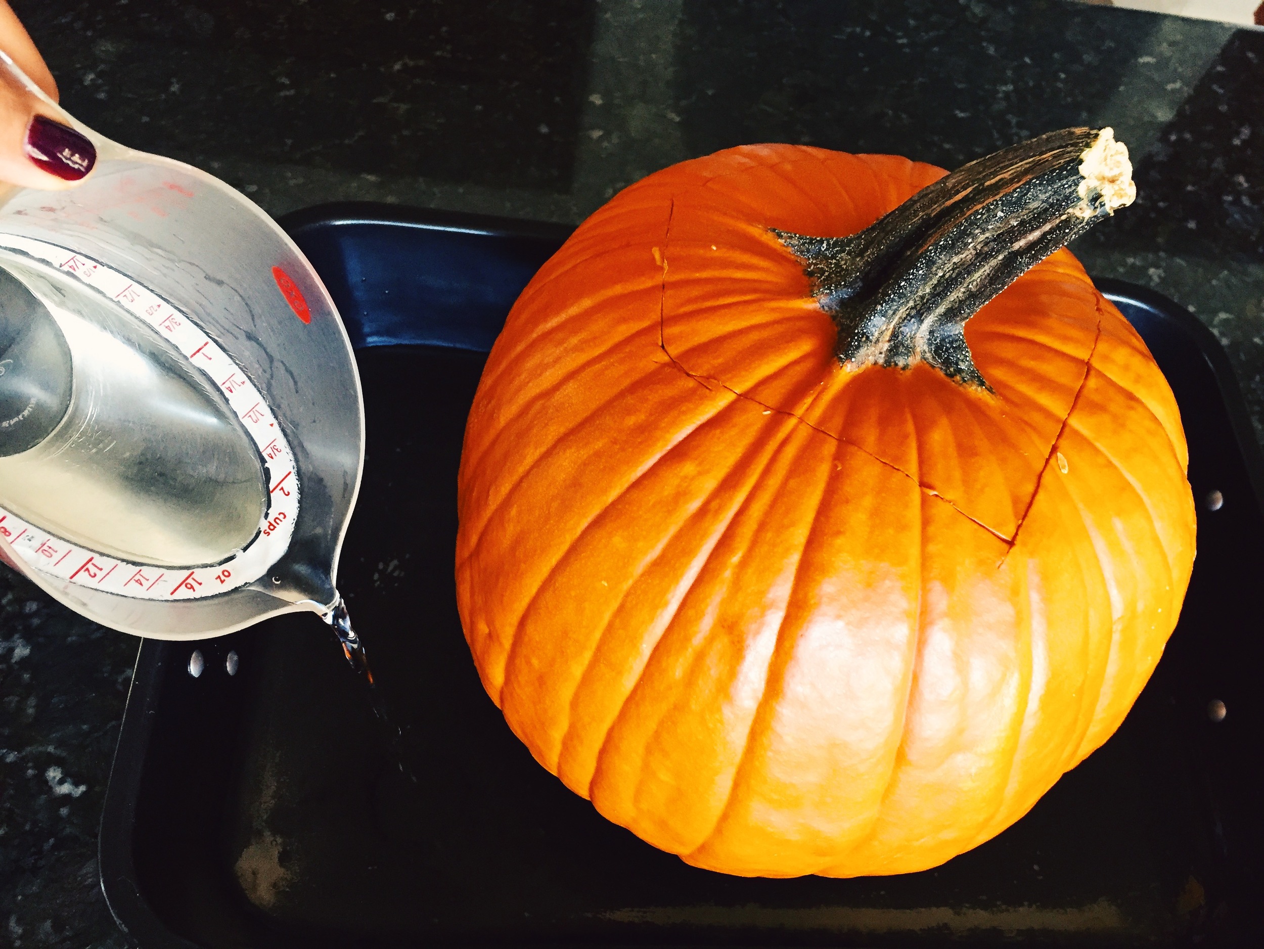 Put top back on the pumpkin. Place it in the roasting pan. Cover bottom of pan with 1/2 inch of water (you can also put some beer in the water for flavor).