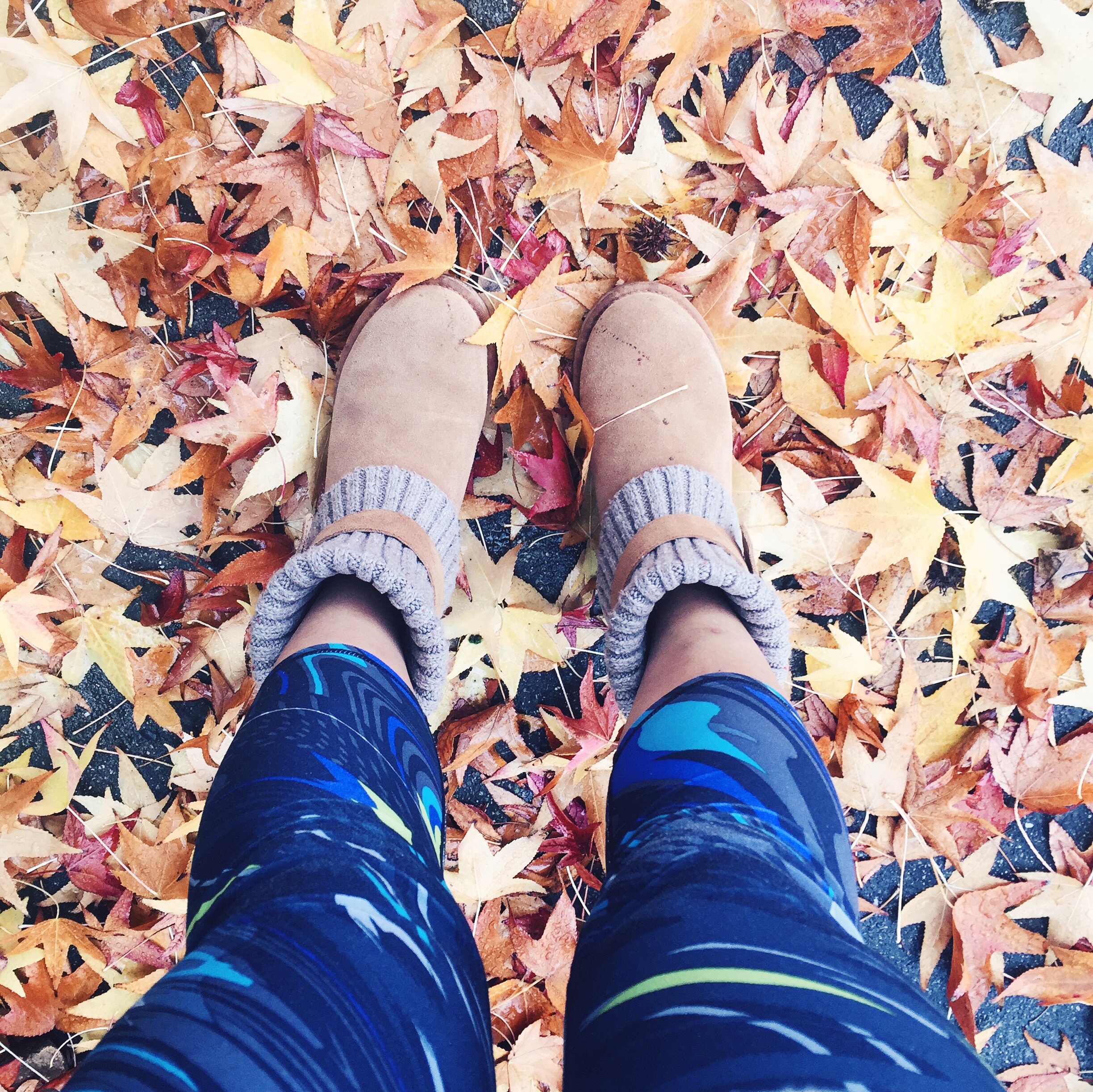 Fall is my favorite season! 