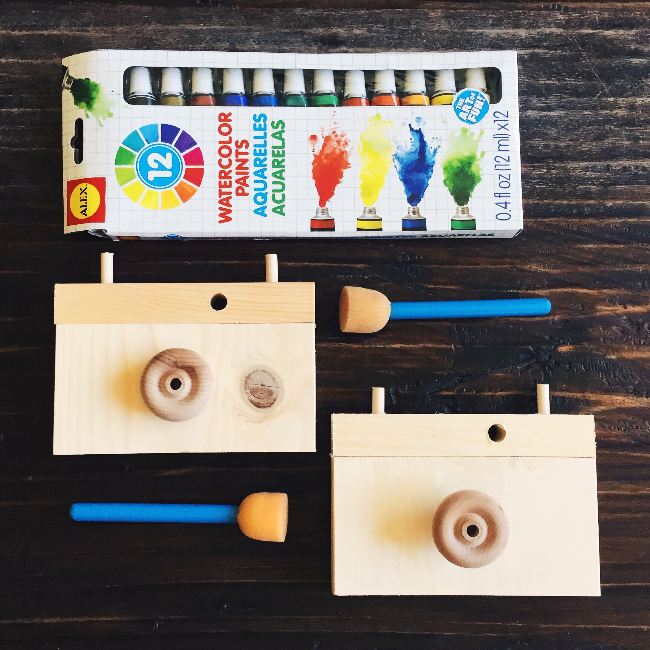 Play camera kit from Avery and Austin . Water colors from Target.
