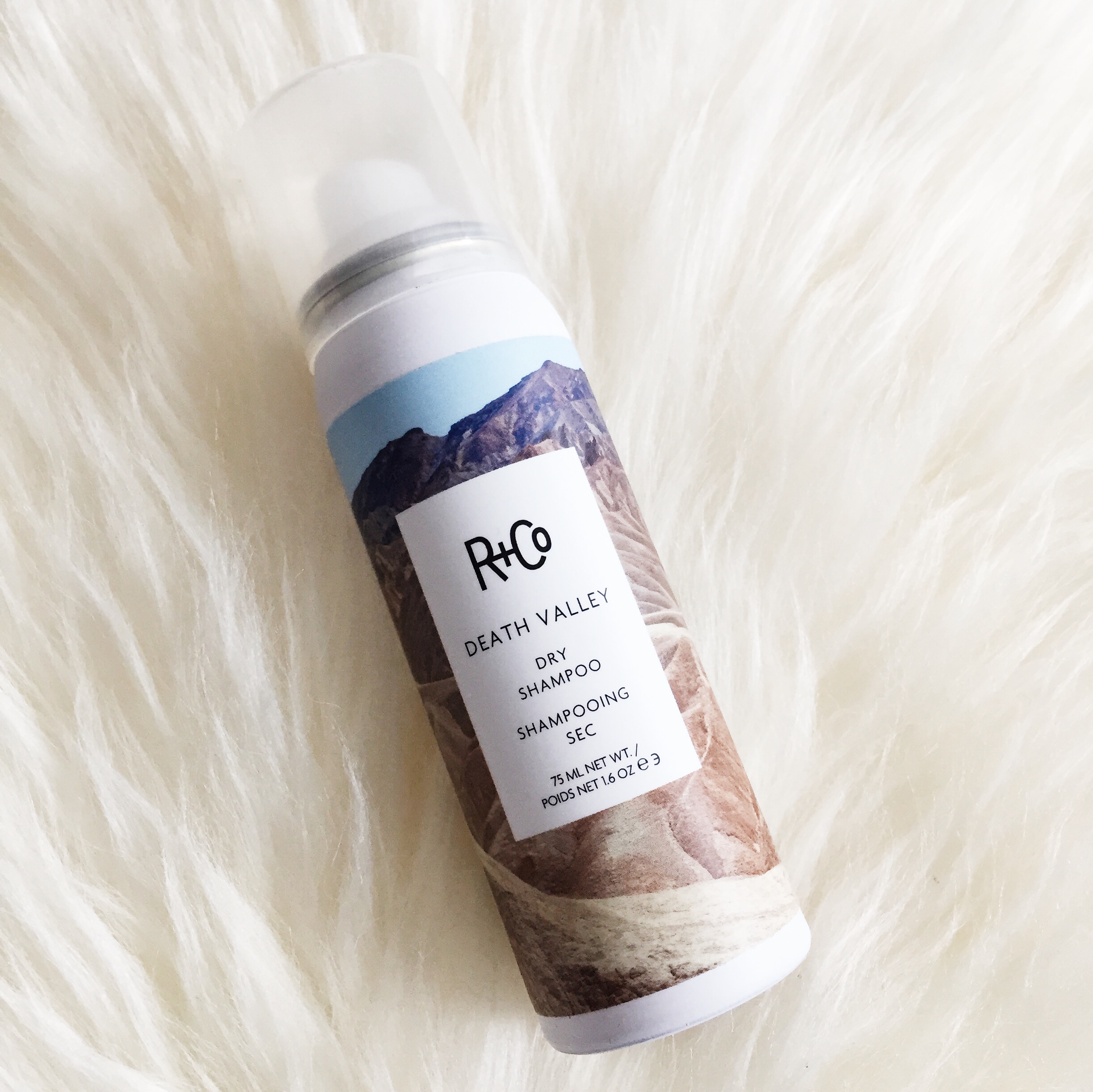 My favorite dry shampoos out there!