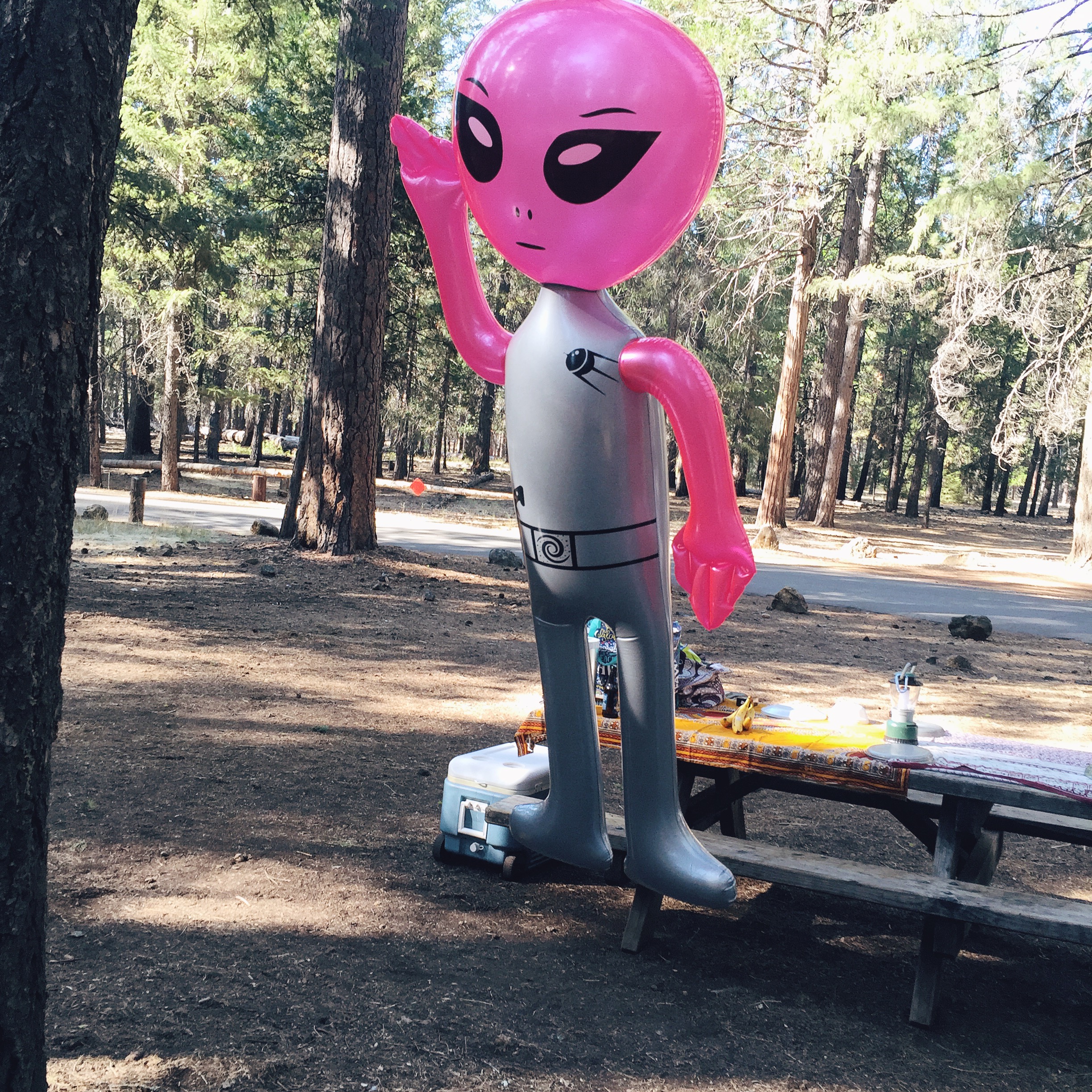 Campsite is not complete without our Alien "Pinky".