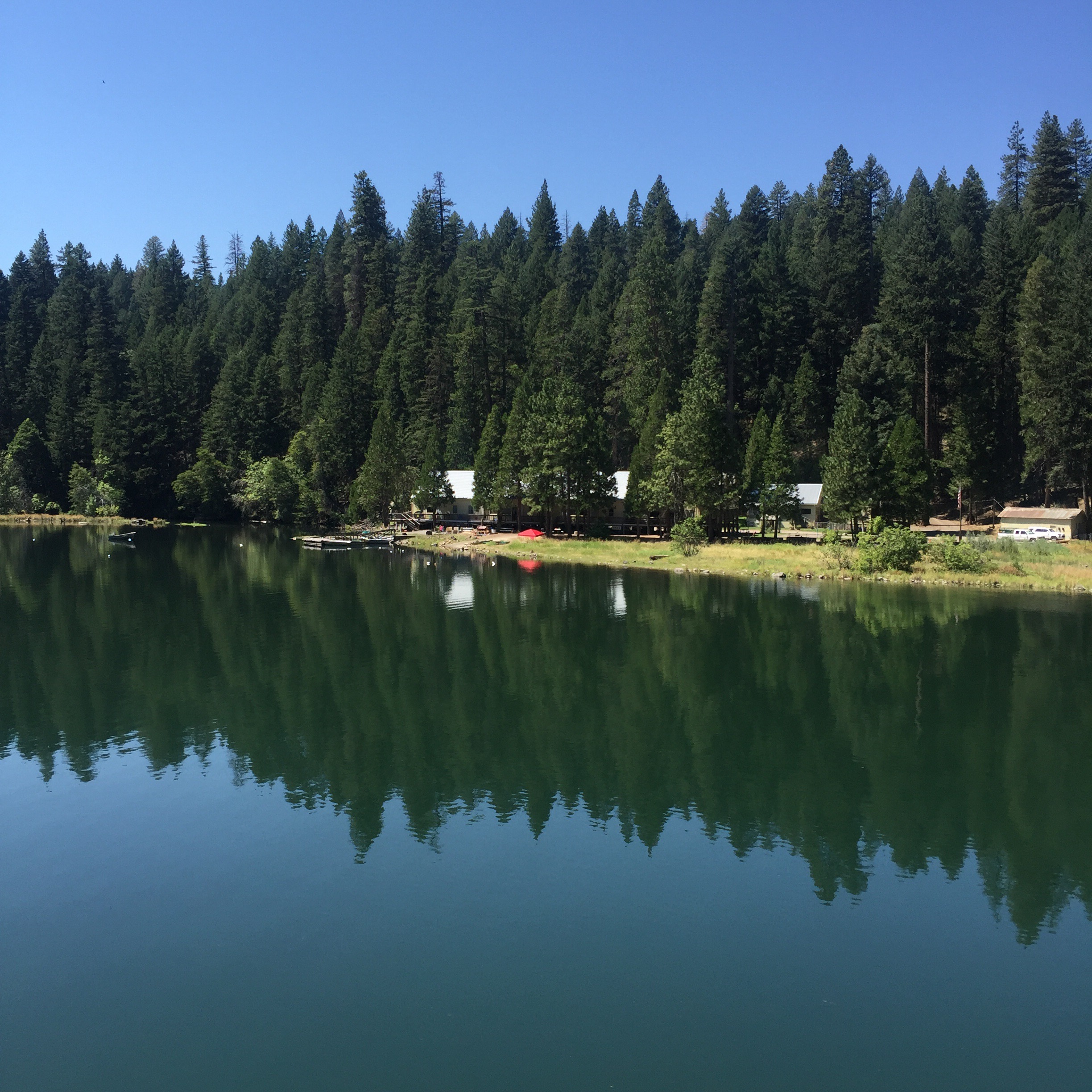 Love how tranquil the lake is in the morning. 