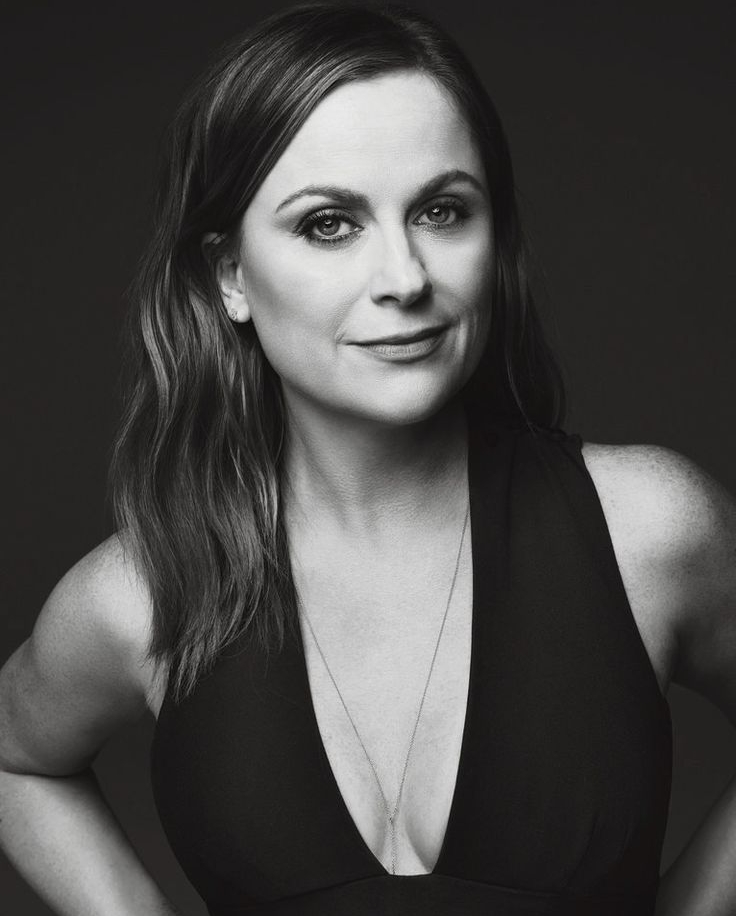 7c3eb13e38a01454c83a8ab33c6d2efd--female-comedians-amy-poehler.jpg